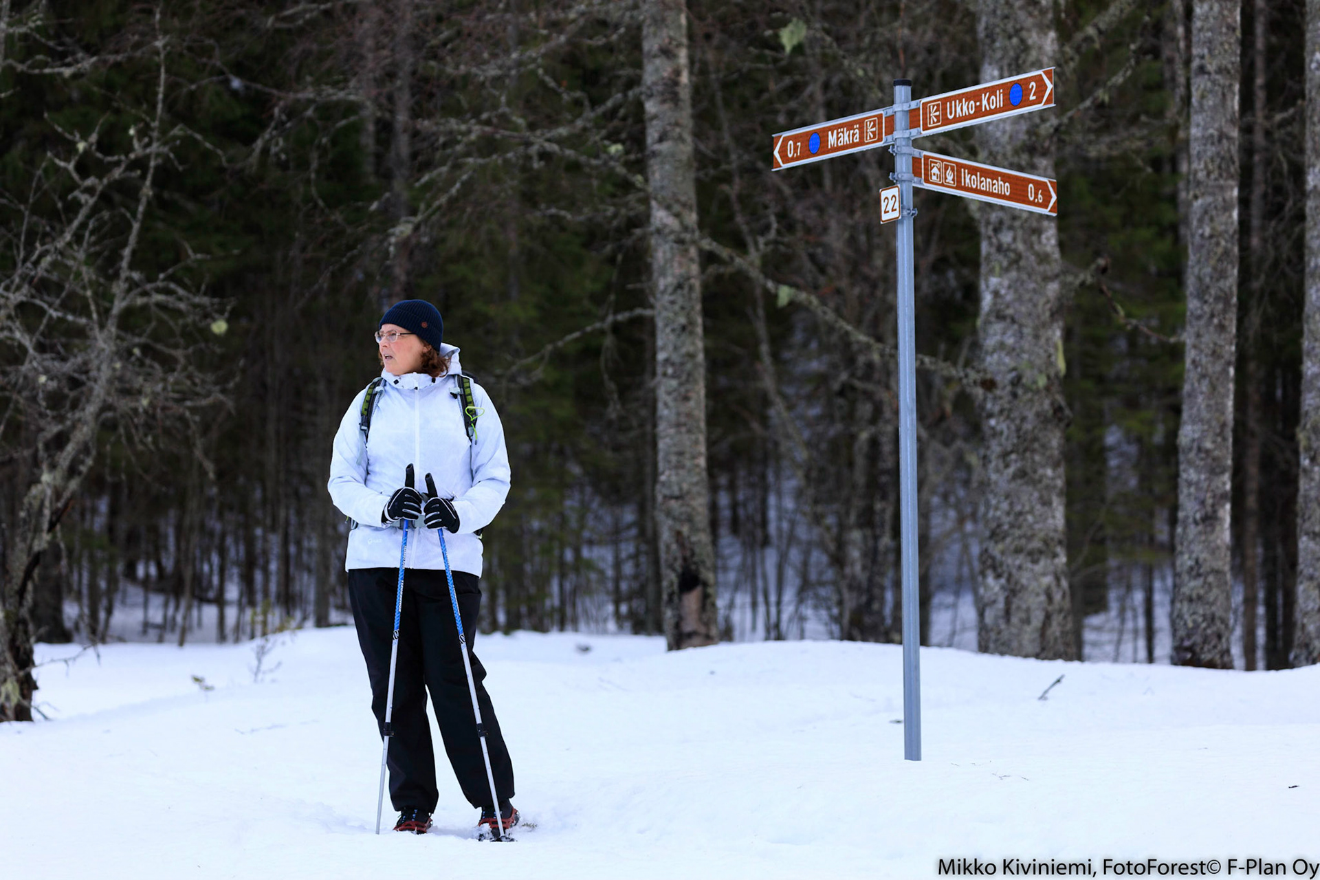 Kolin Kansallispuisto, 1226