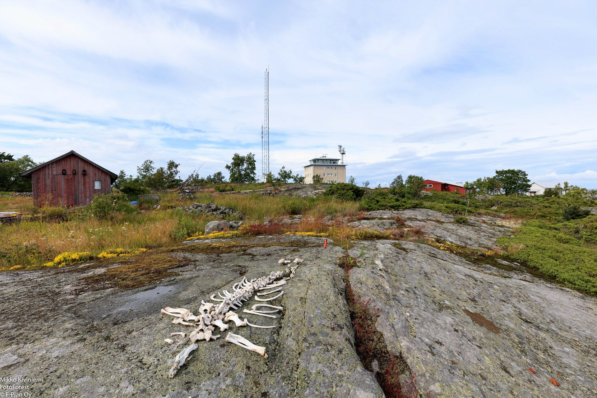 Isokarin majakkasaaren luotsiasema (v. 1965)   1153