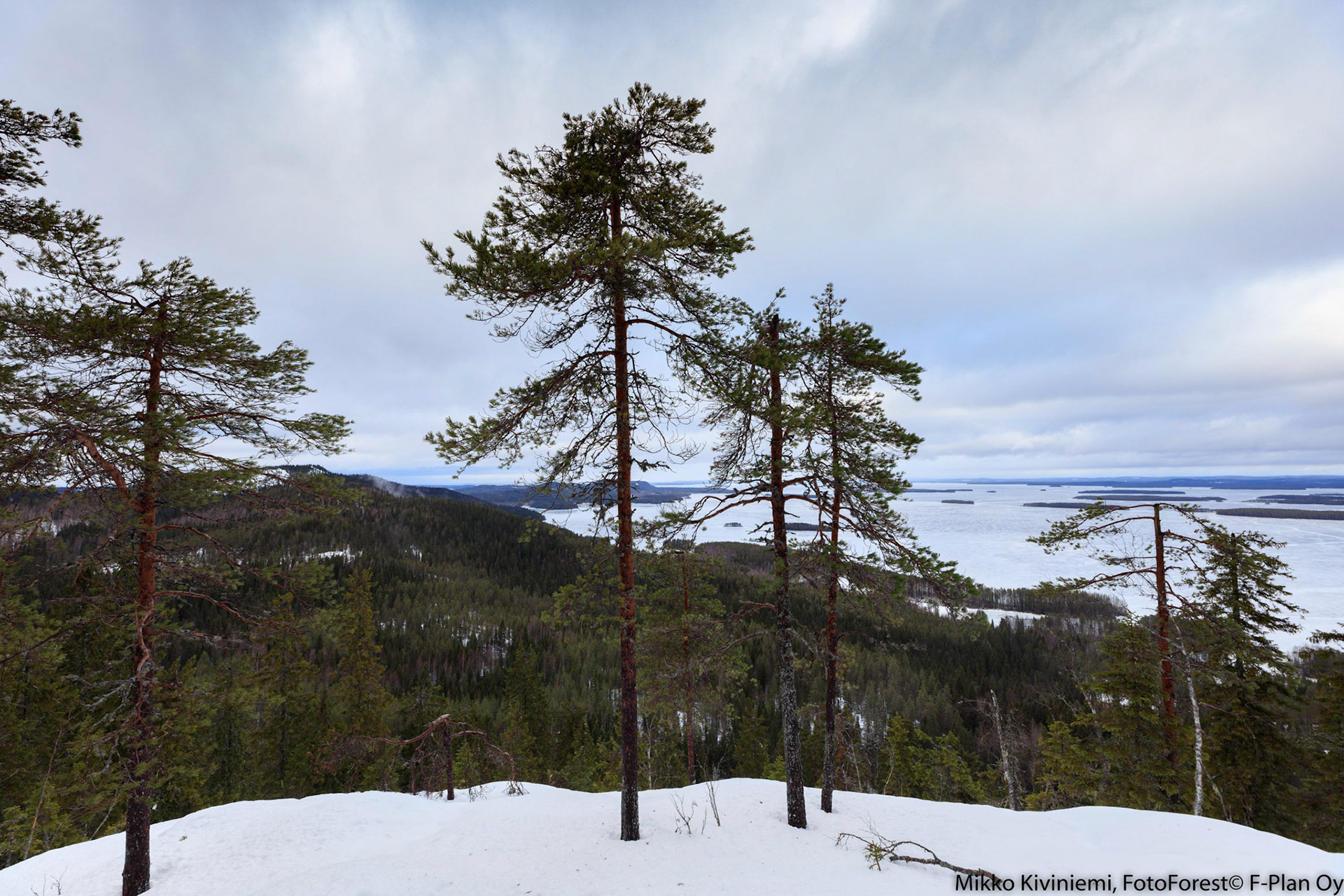 Näkymä Mäkrältä Pielisen Purjeselälle, 1230