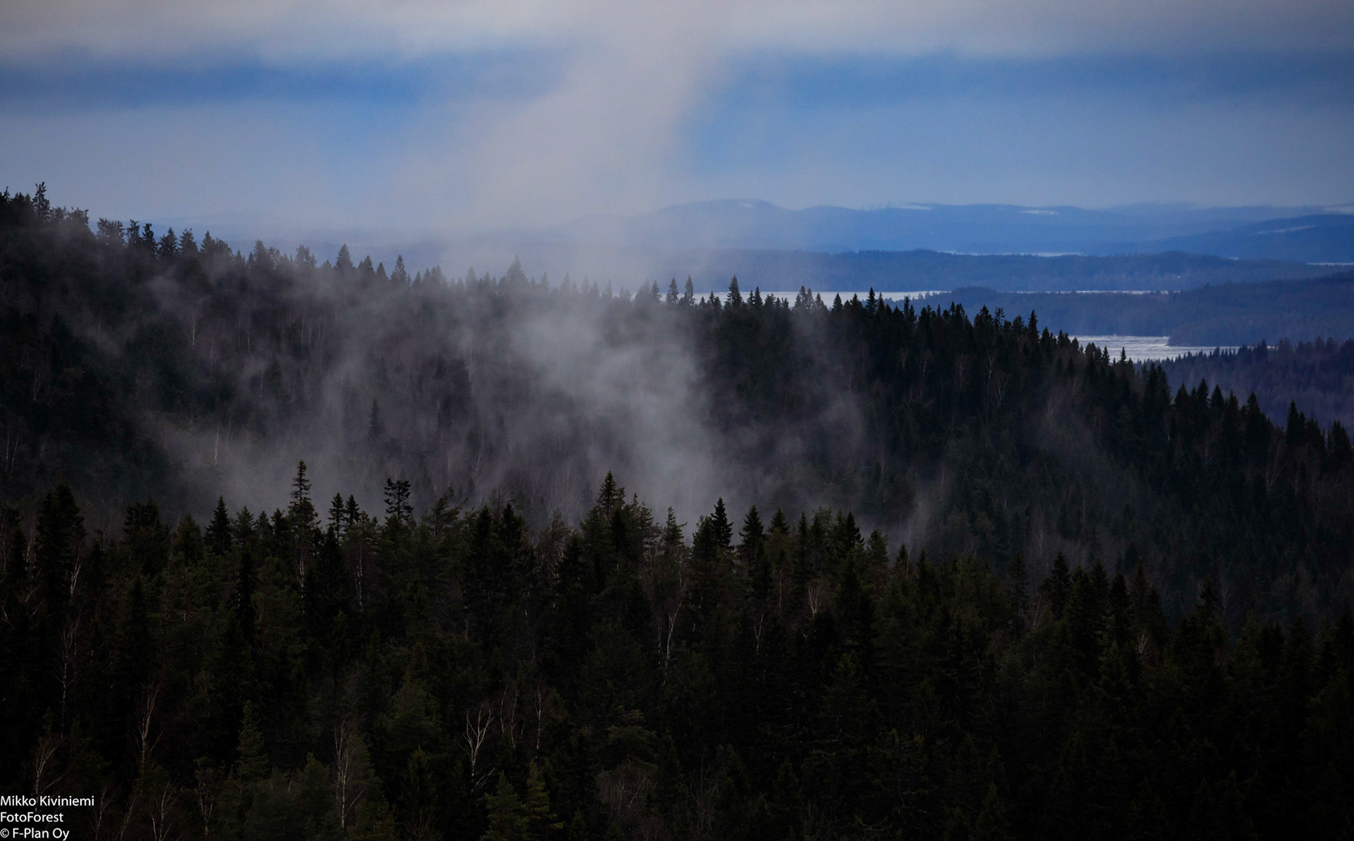 Kuusimetsä Kolilla, 1253