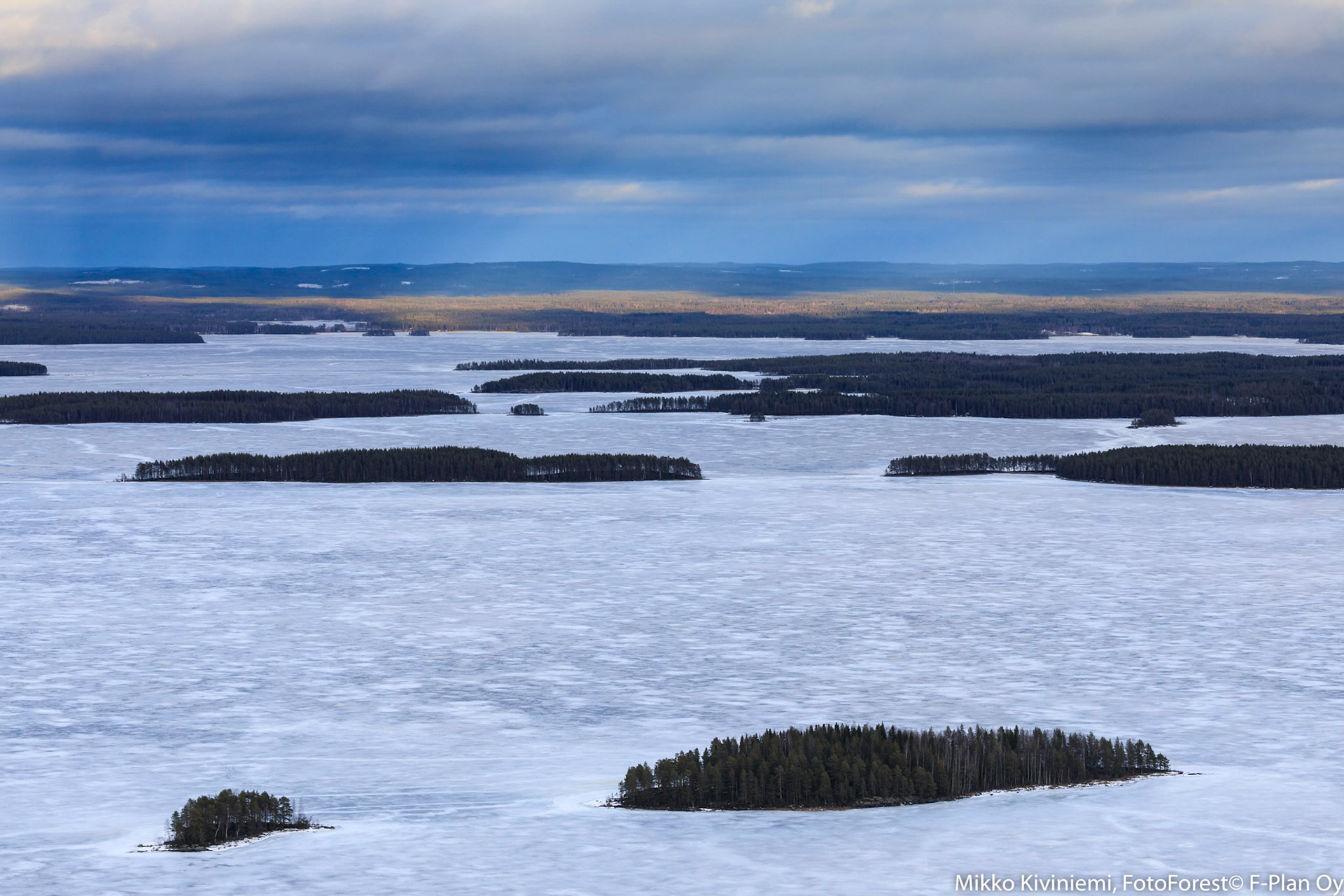 Pielisen Purjeselkä,1242