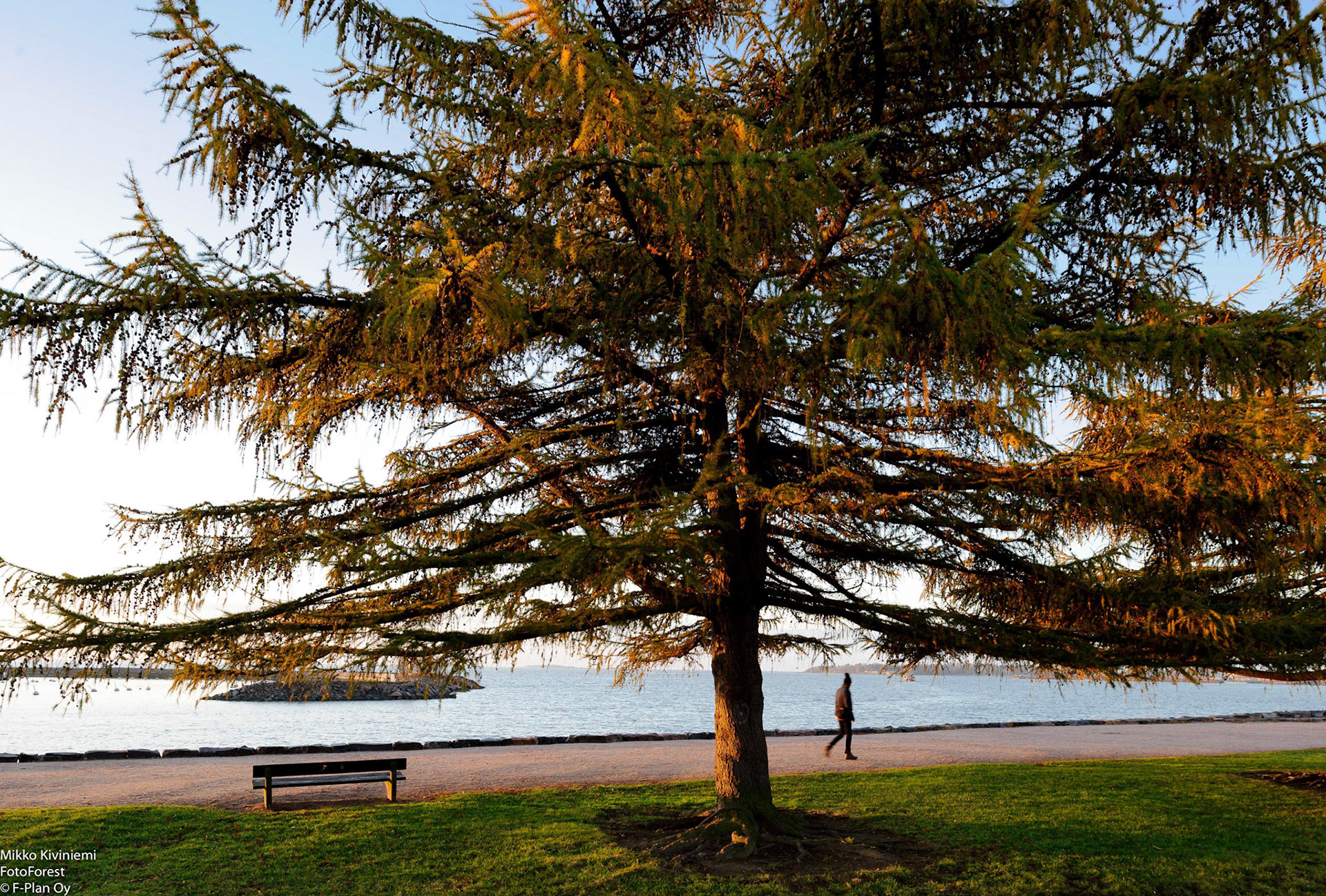 Aamuhetki, Helsinki 1130