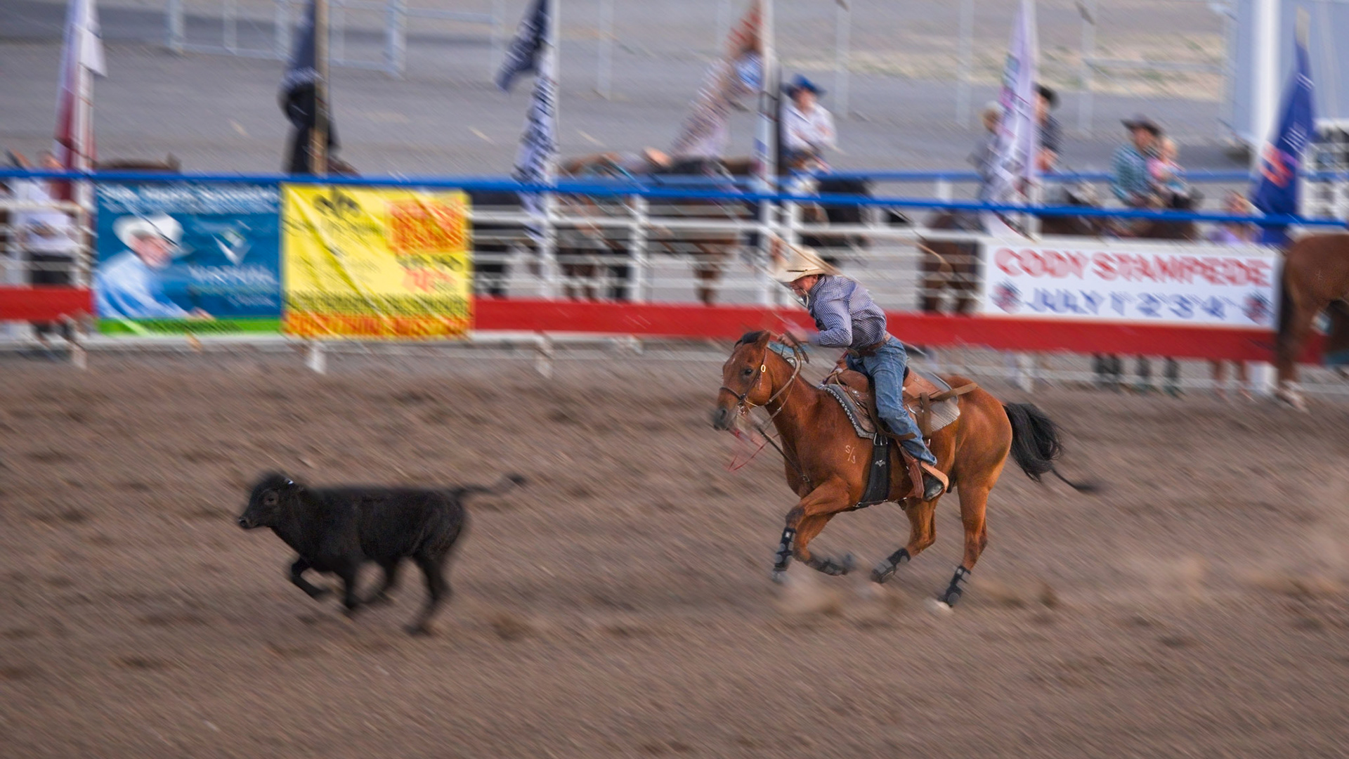Cody Stampede, Cody, WY