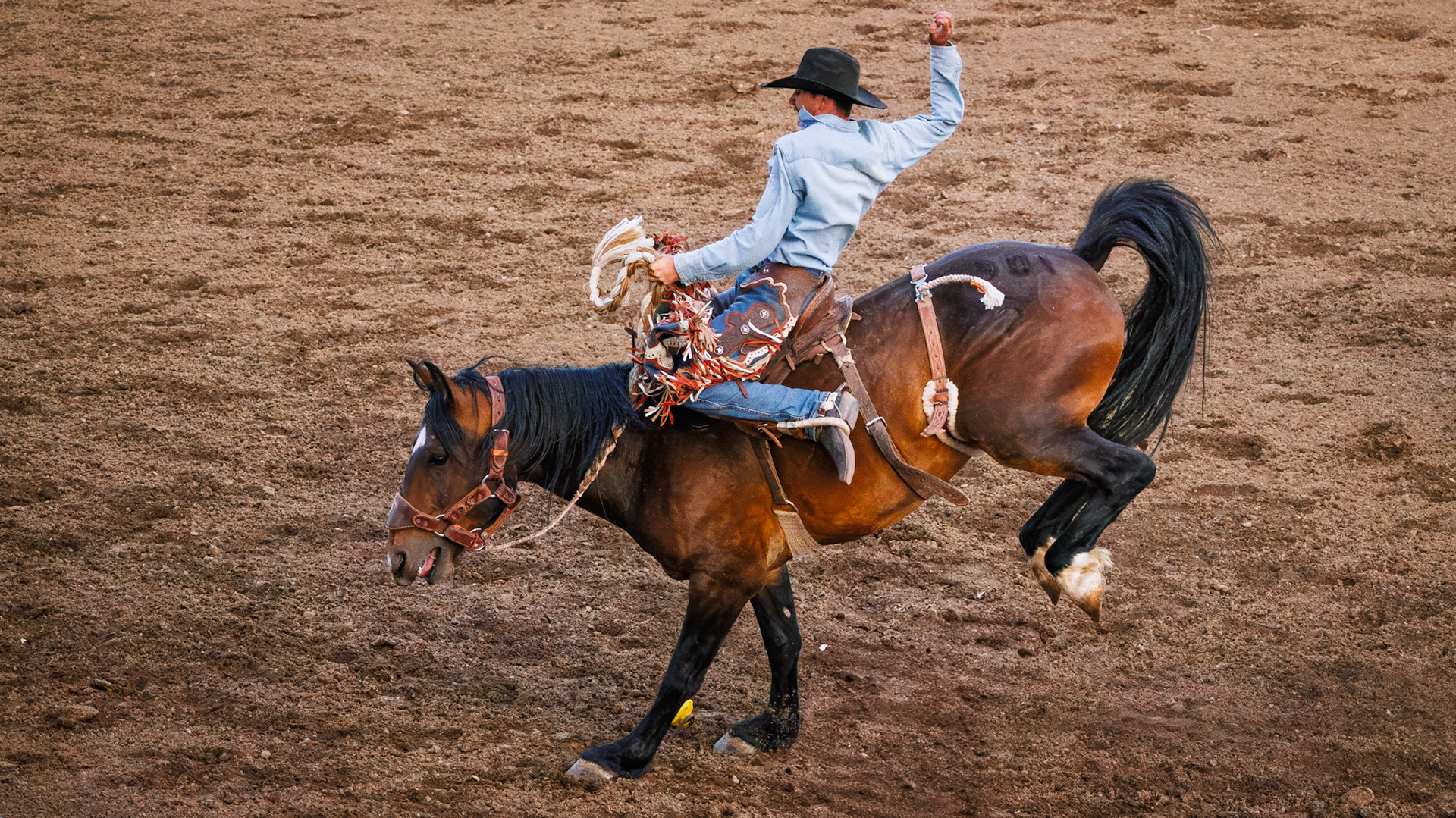 Cody Stampede, Cody, WY
