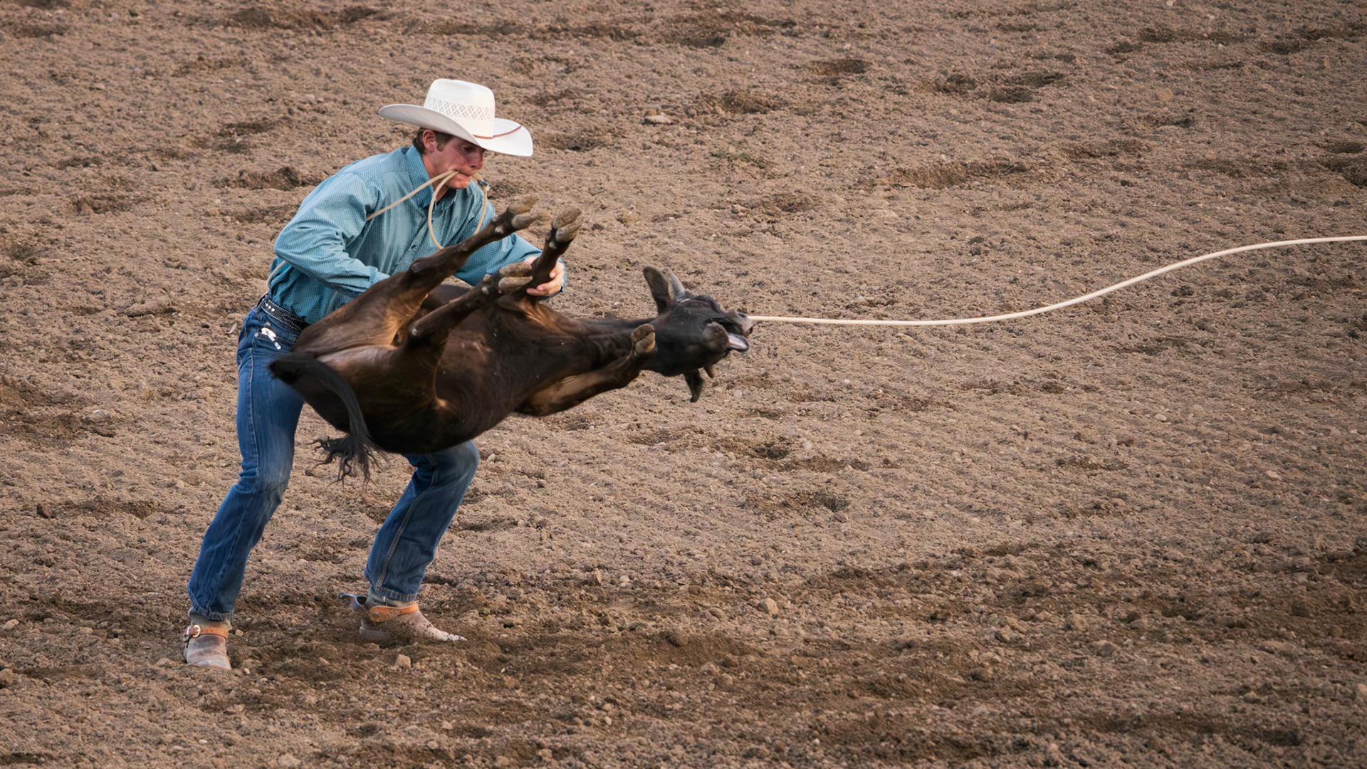 Cody Stampede, Cody, WY