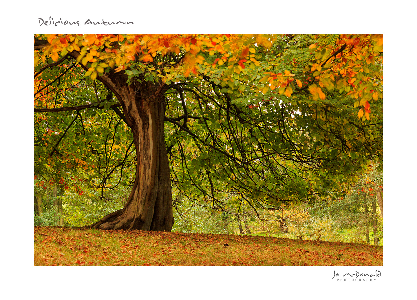 Delicious Autumn