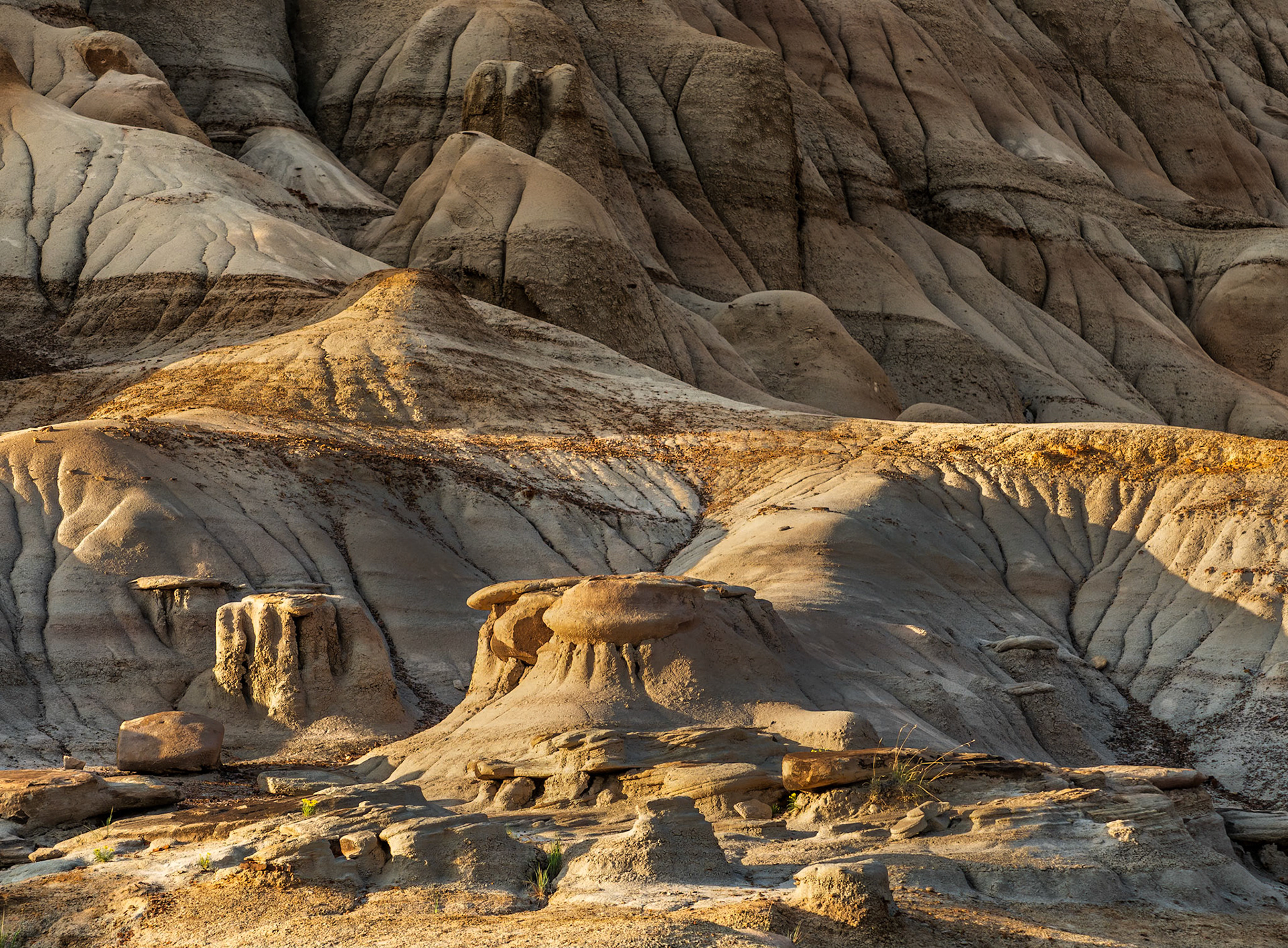 Hoodoo Trail 30633