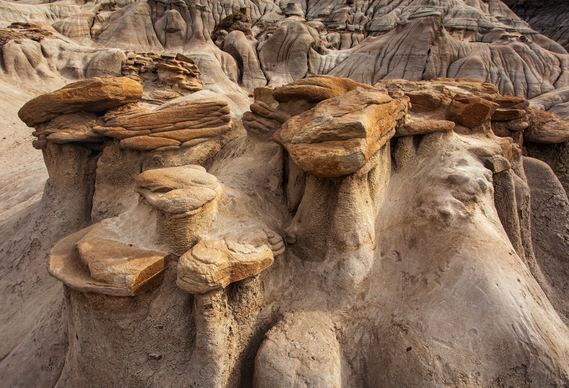 Hoodoo Trail