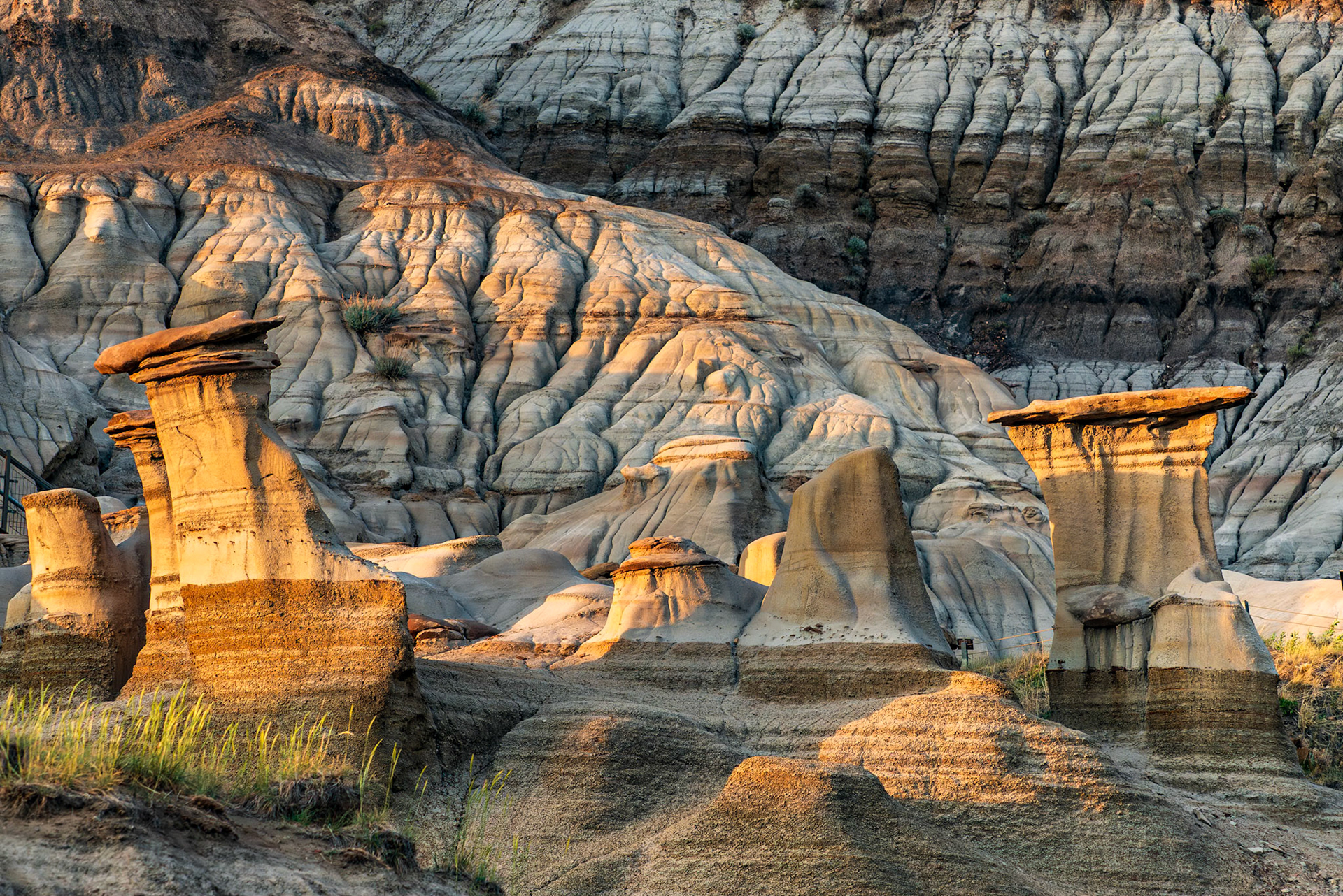 Hoodoo Trail 30655