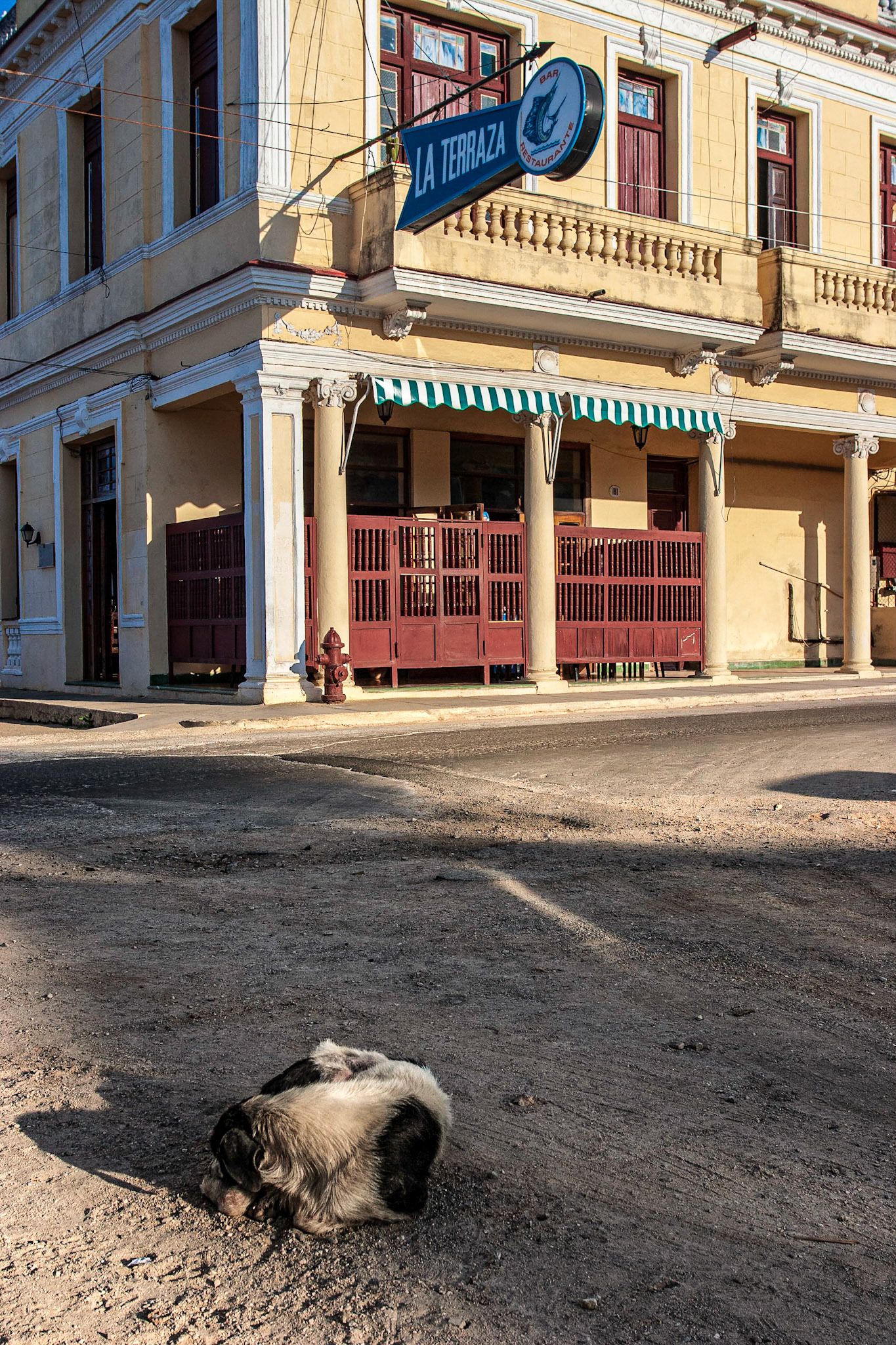 Dog sleeping on street in Cojimar, Havana