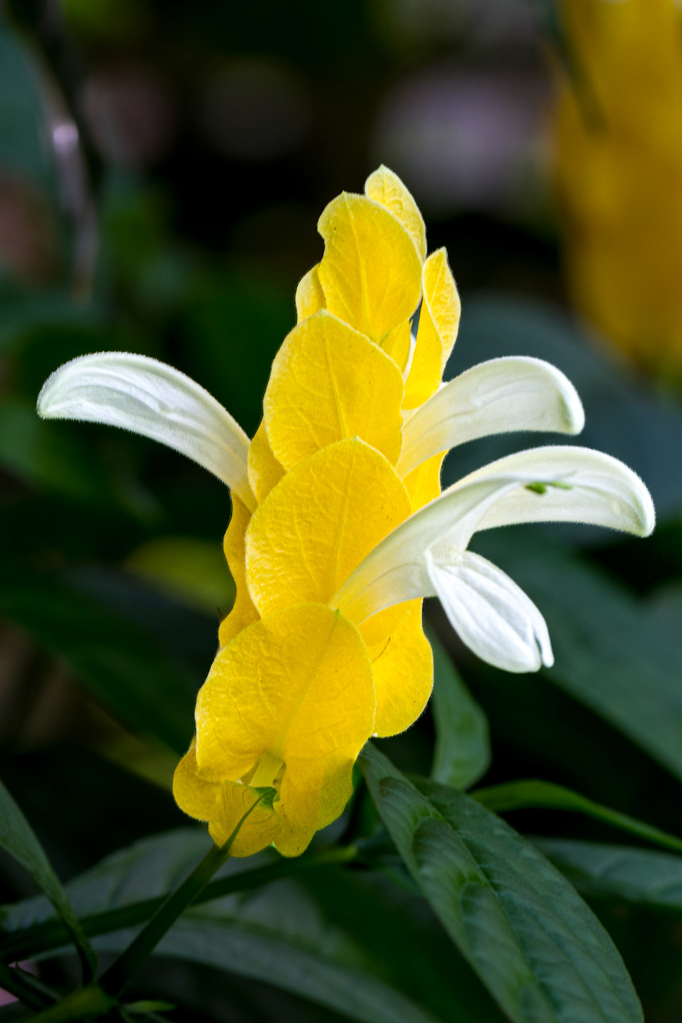 F76