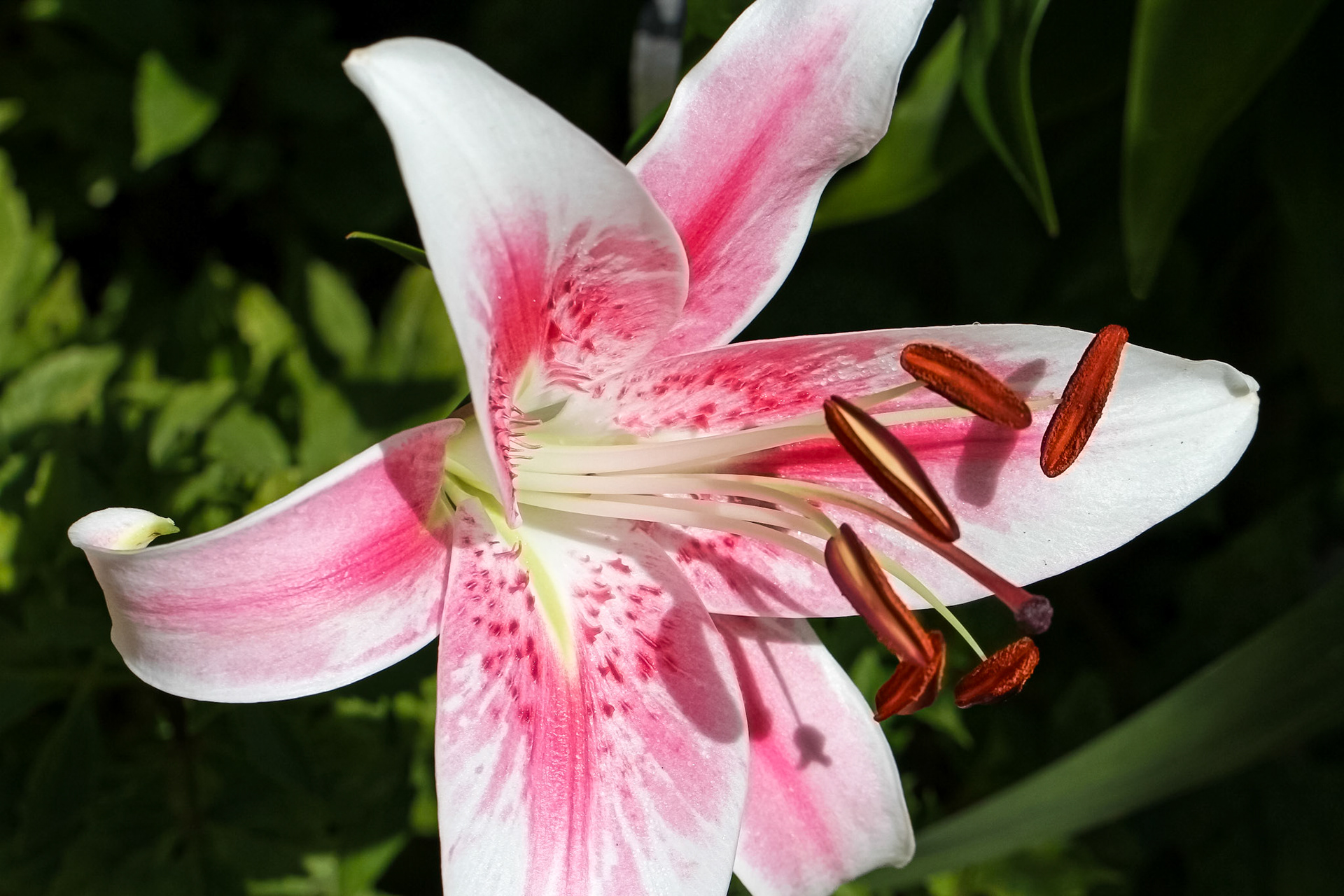 F71