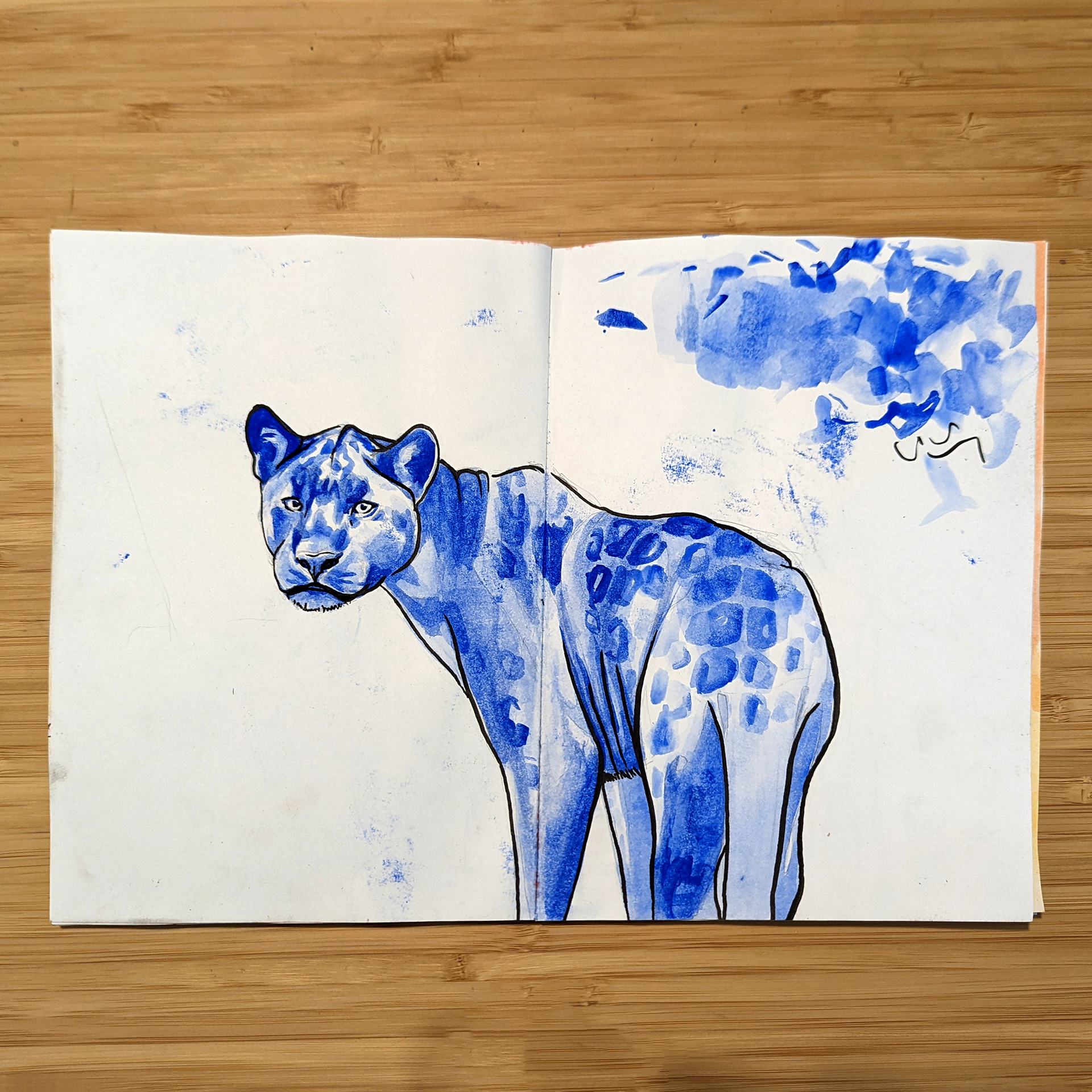 Sketchbook Study