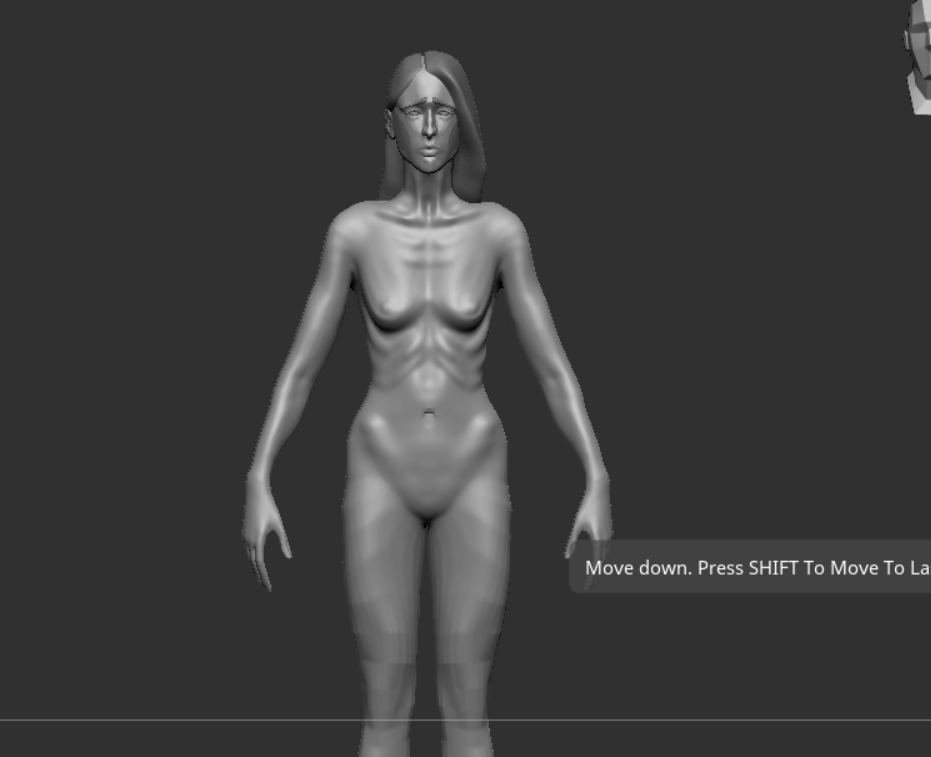 hi poly zbrush model
