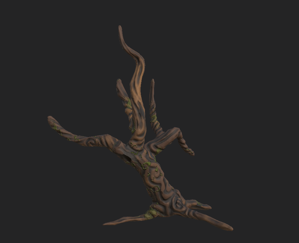Environment asset