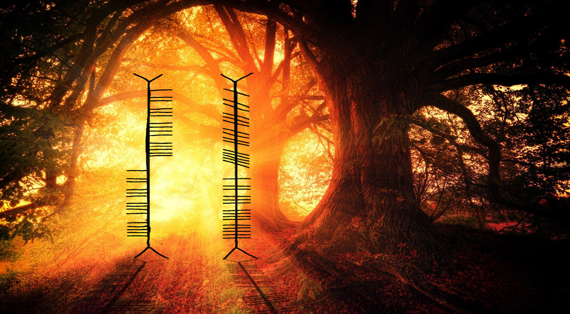 An introduction to the Ogham Alphabet, an ancient British and Irish alphabet based on trees