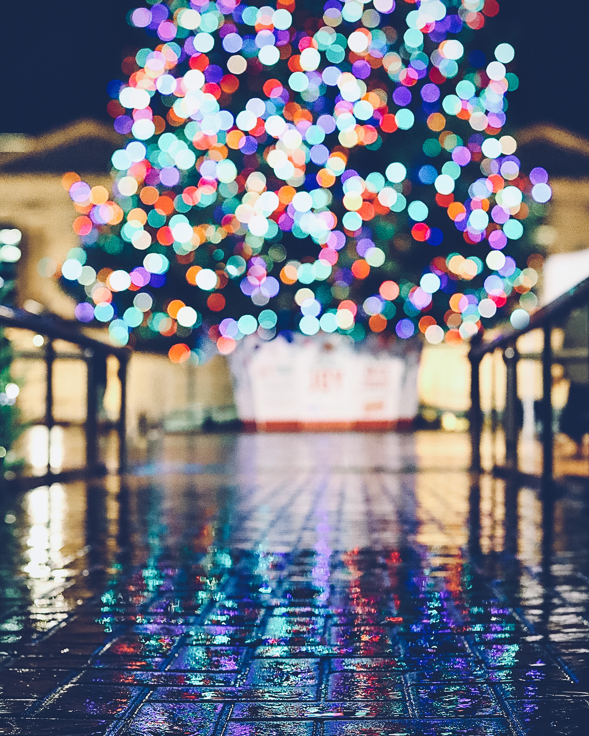 The Square's Christmas Tree