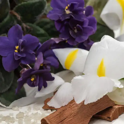 White Orris and Sandalwood