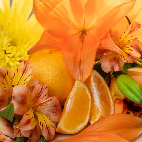 Solar Petal and Tangerine