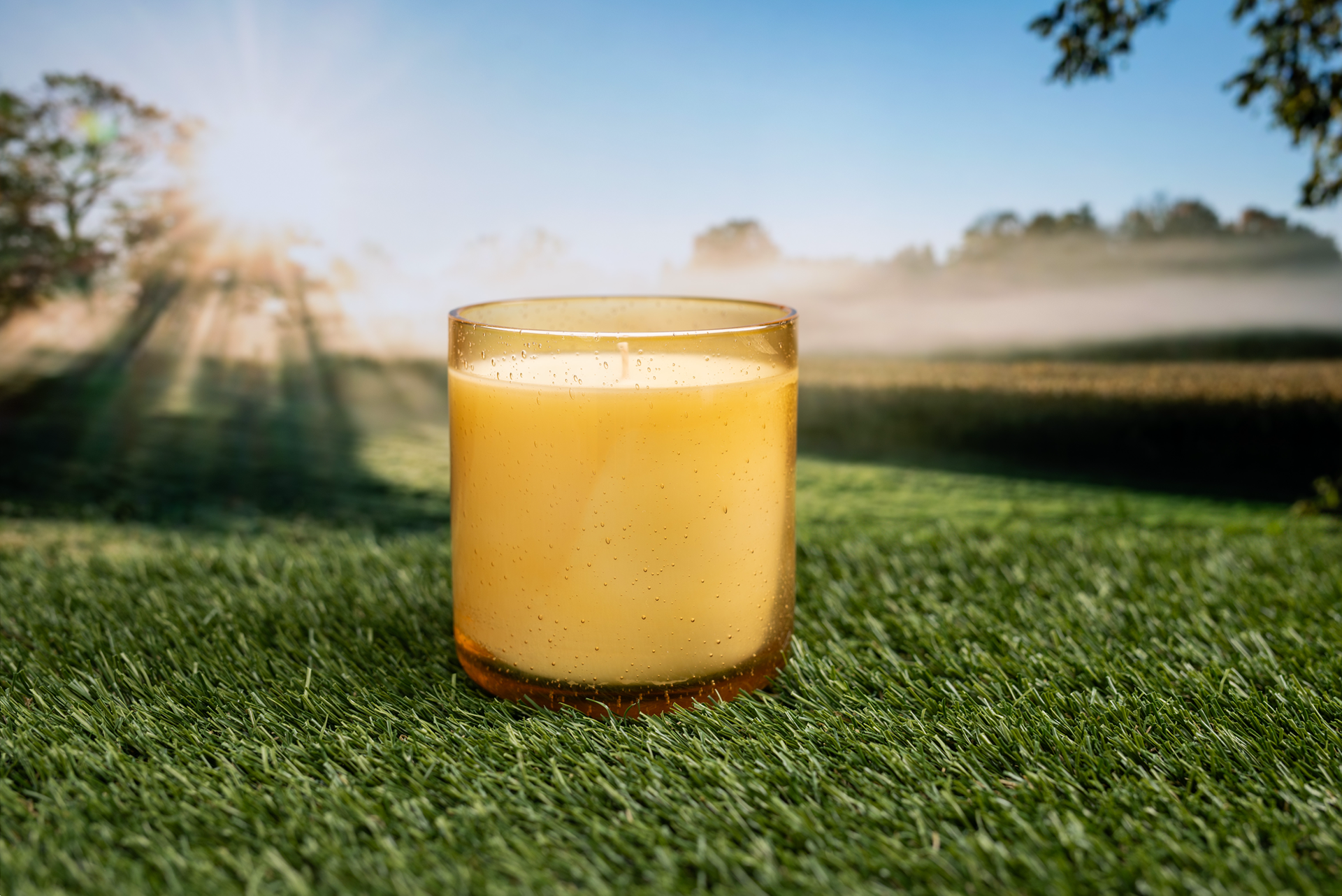 Yellow Bubble Jar: Rear Projetion w/ Grass Mat