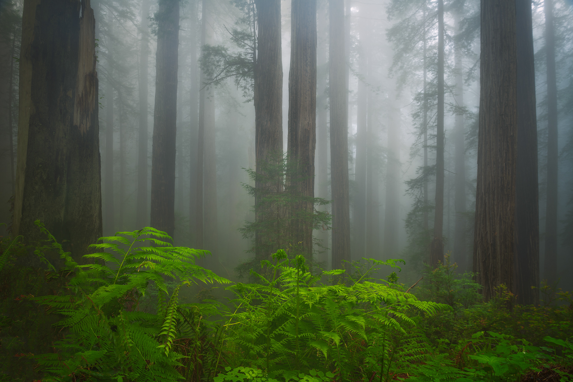 California, USA