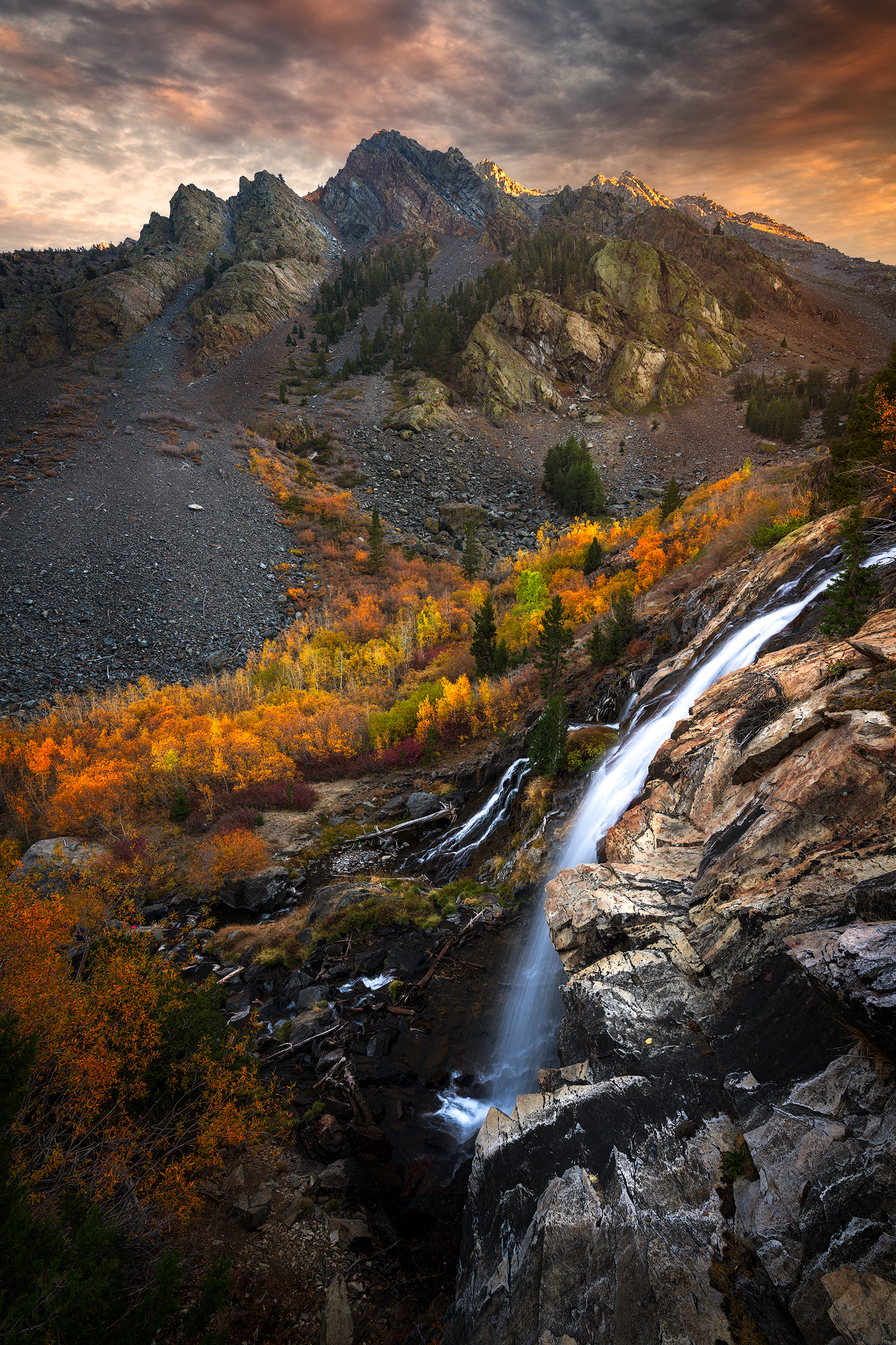 California, USA