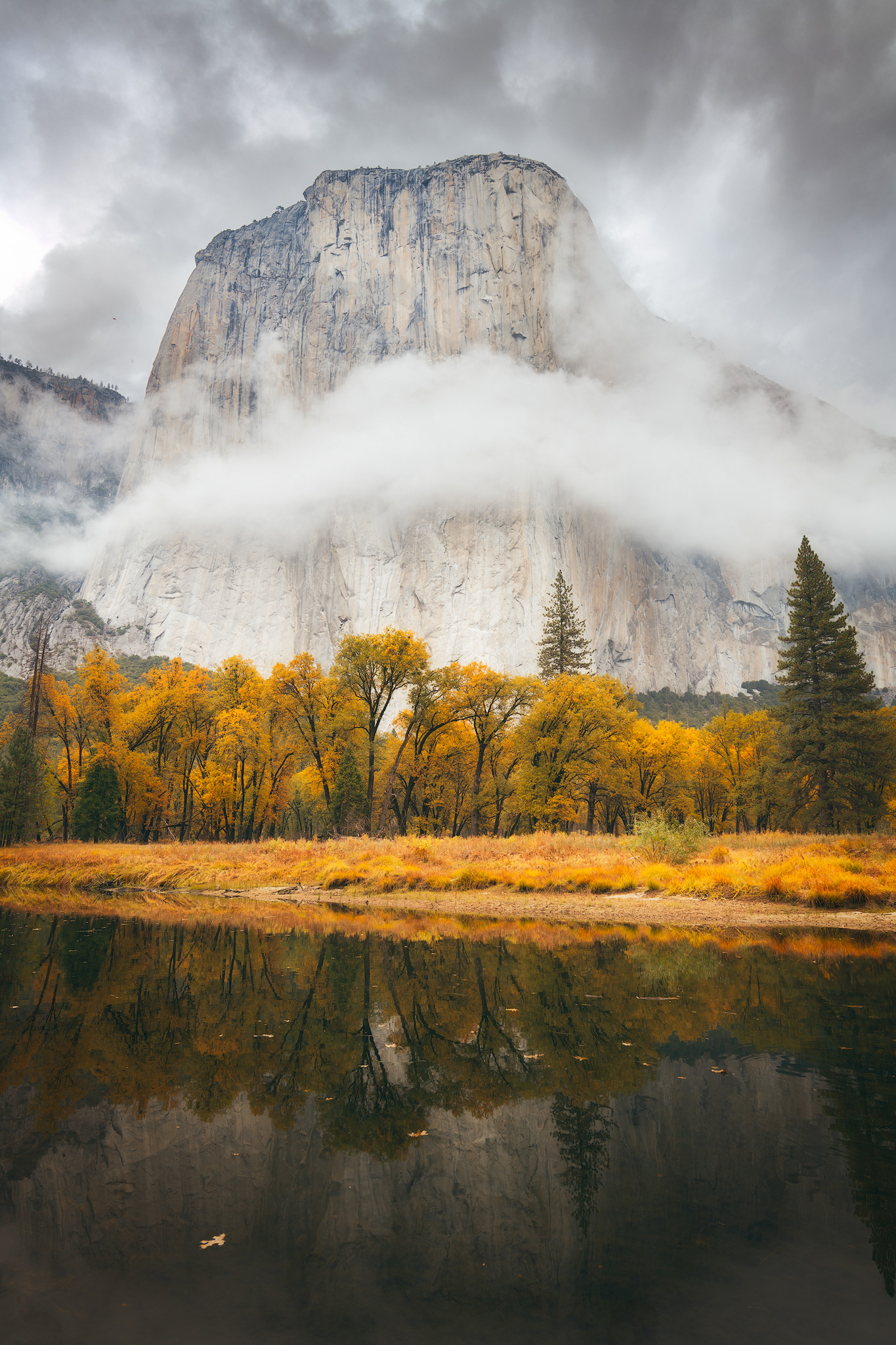 California, USA