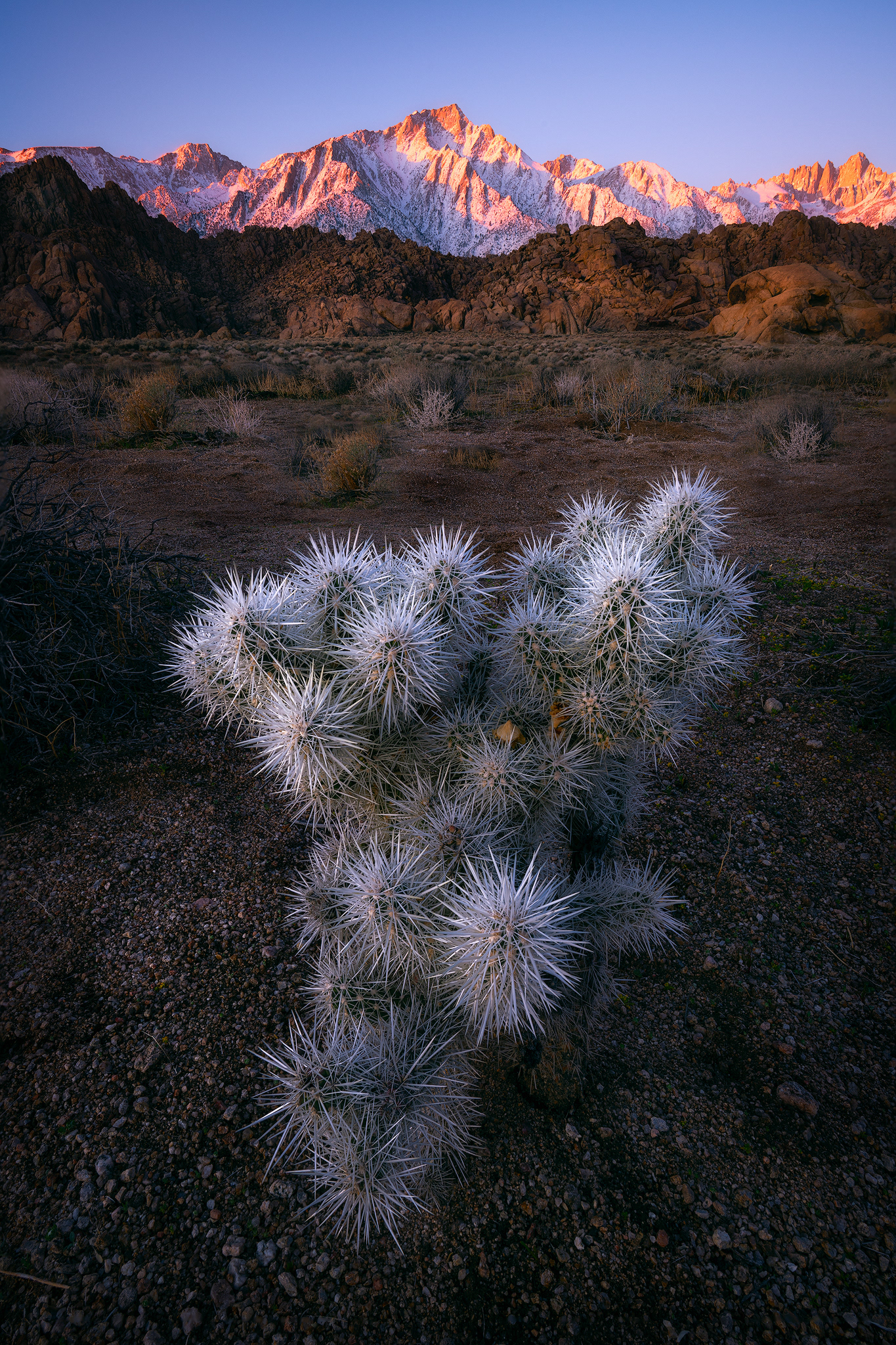 California, USA