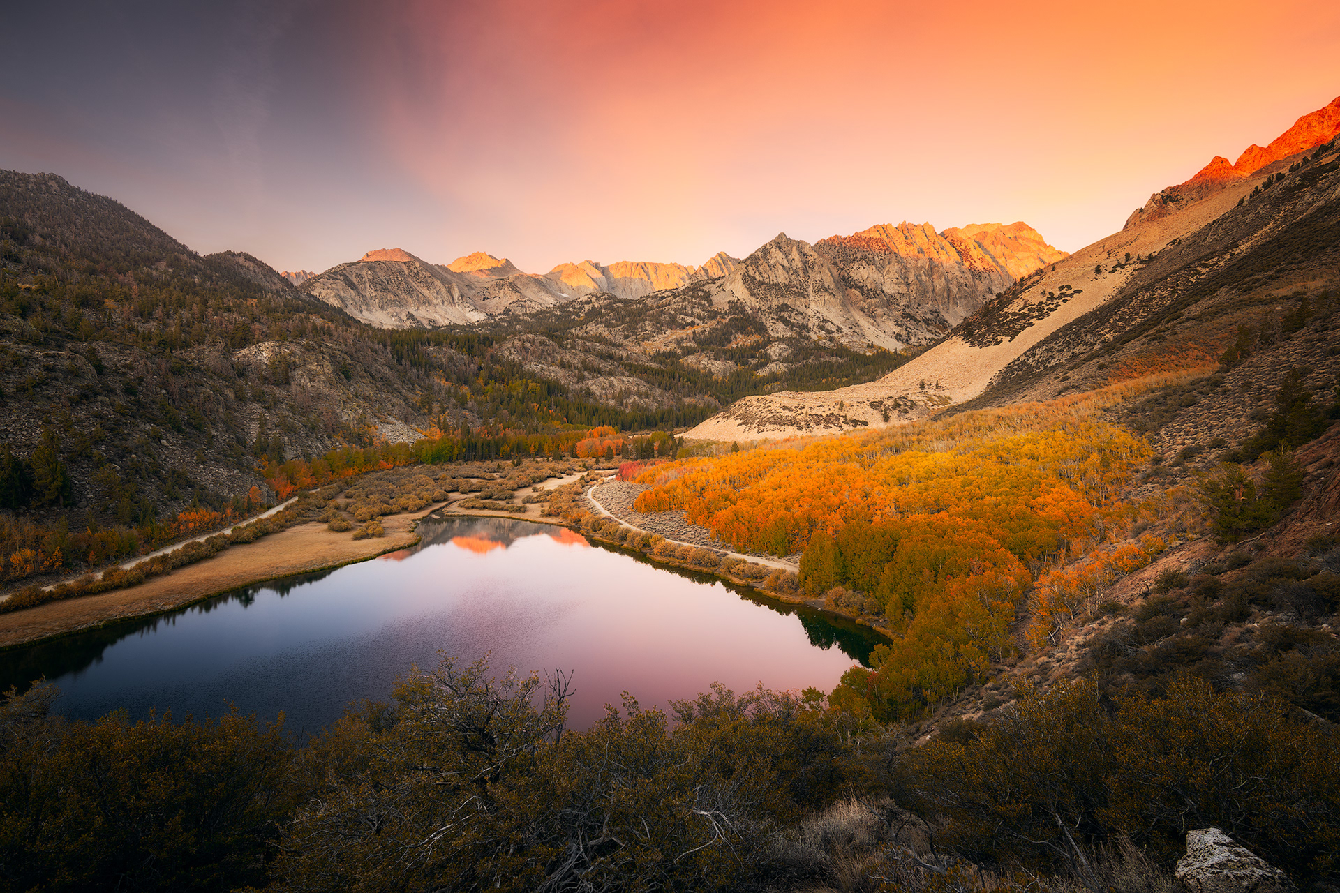 California, USA