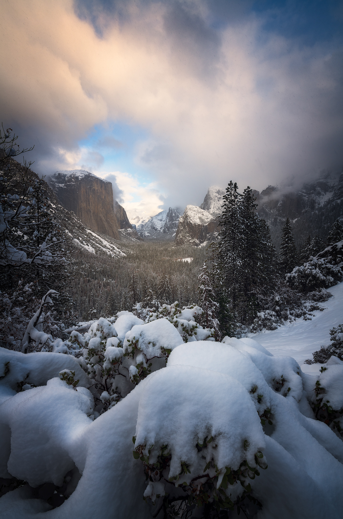 California, USA