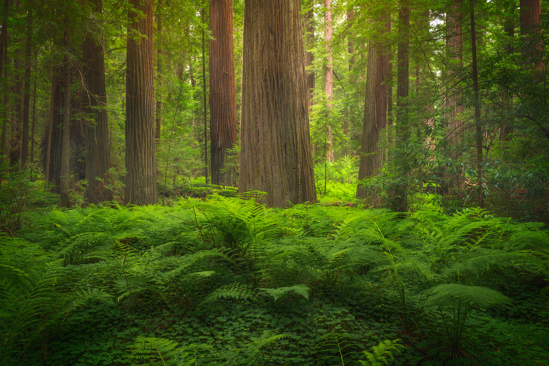 California, USA