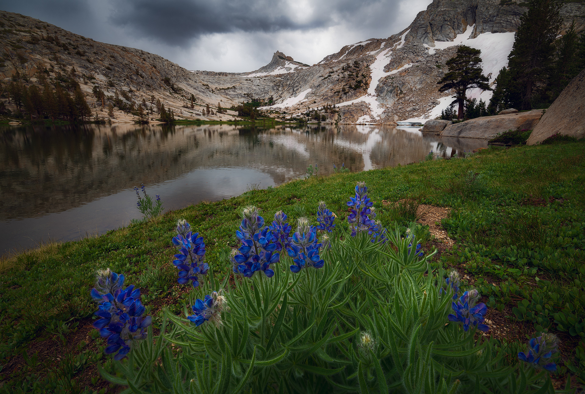 California, USA