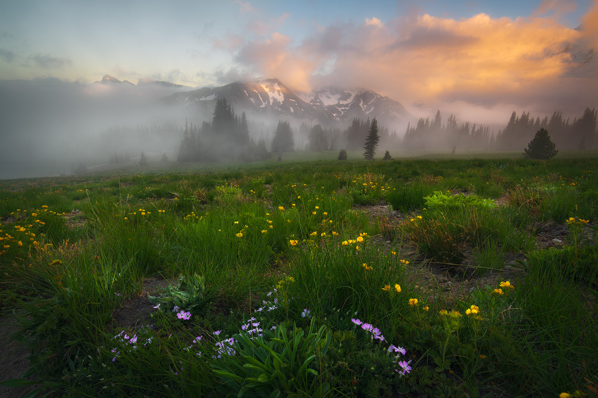 Washington, USA