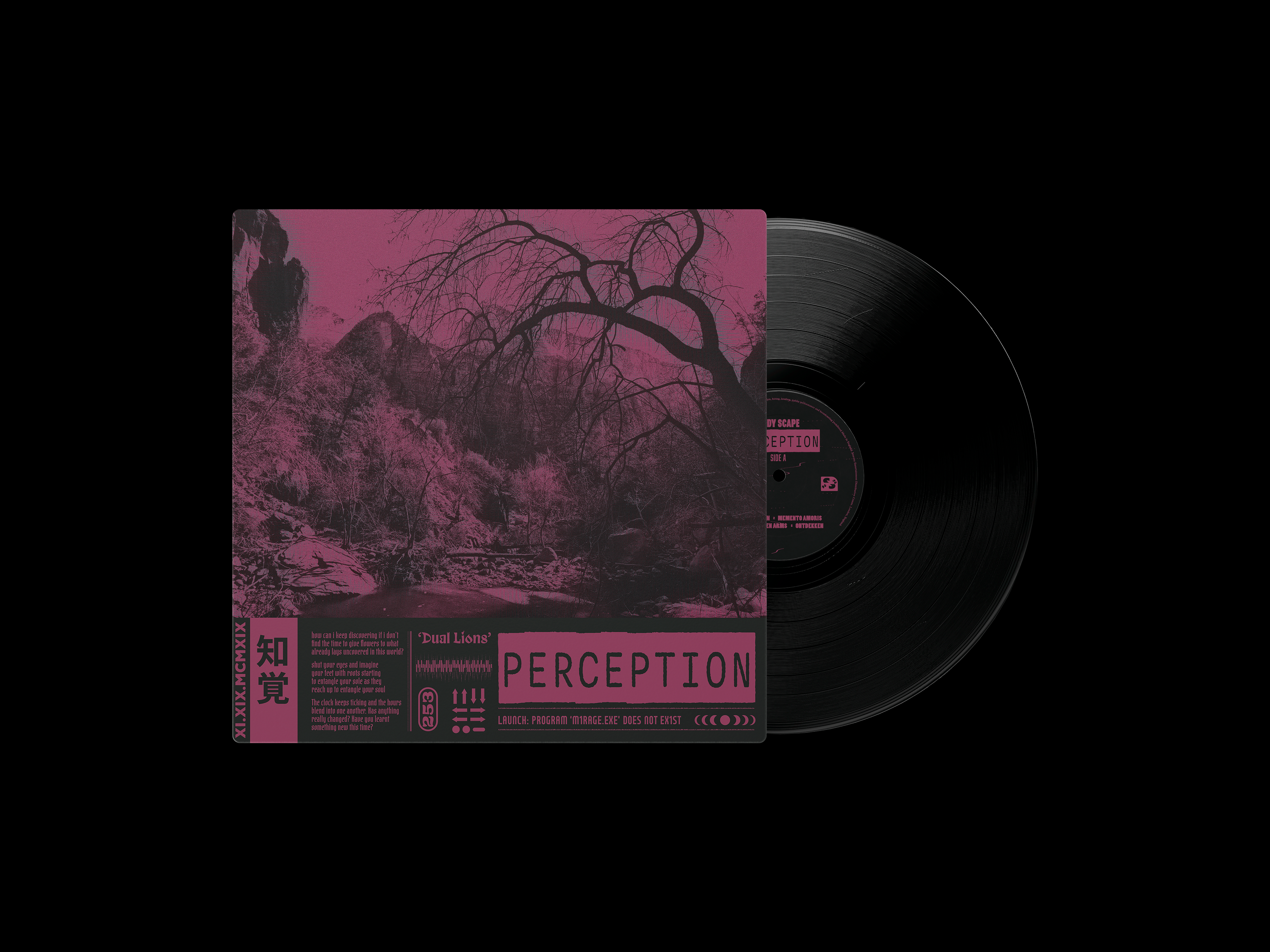 Perception Vinyl Mockup Front + Side A
