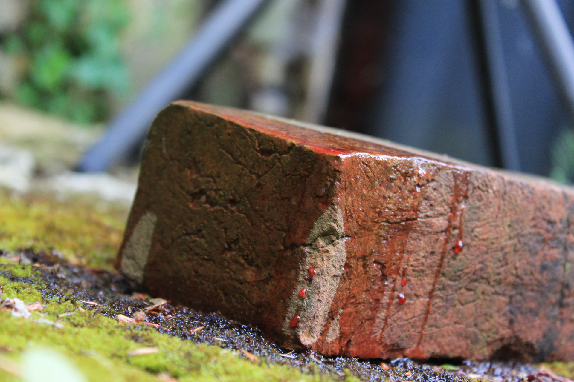 In 2 Deep - 01/05/24