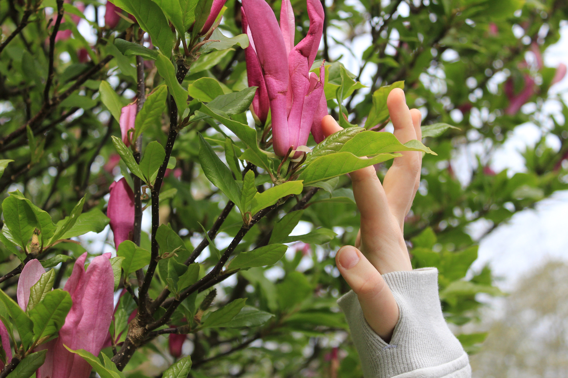 West of Heaven - 14/04/24