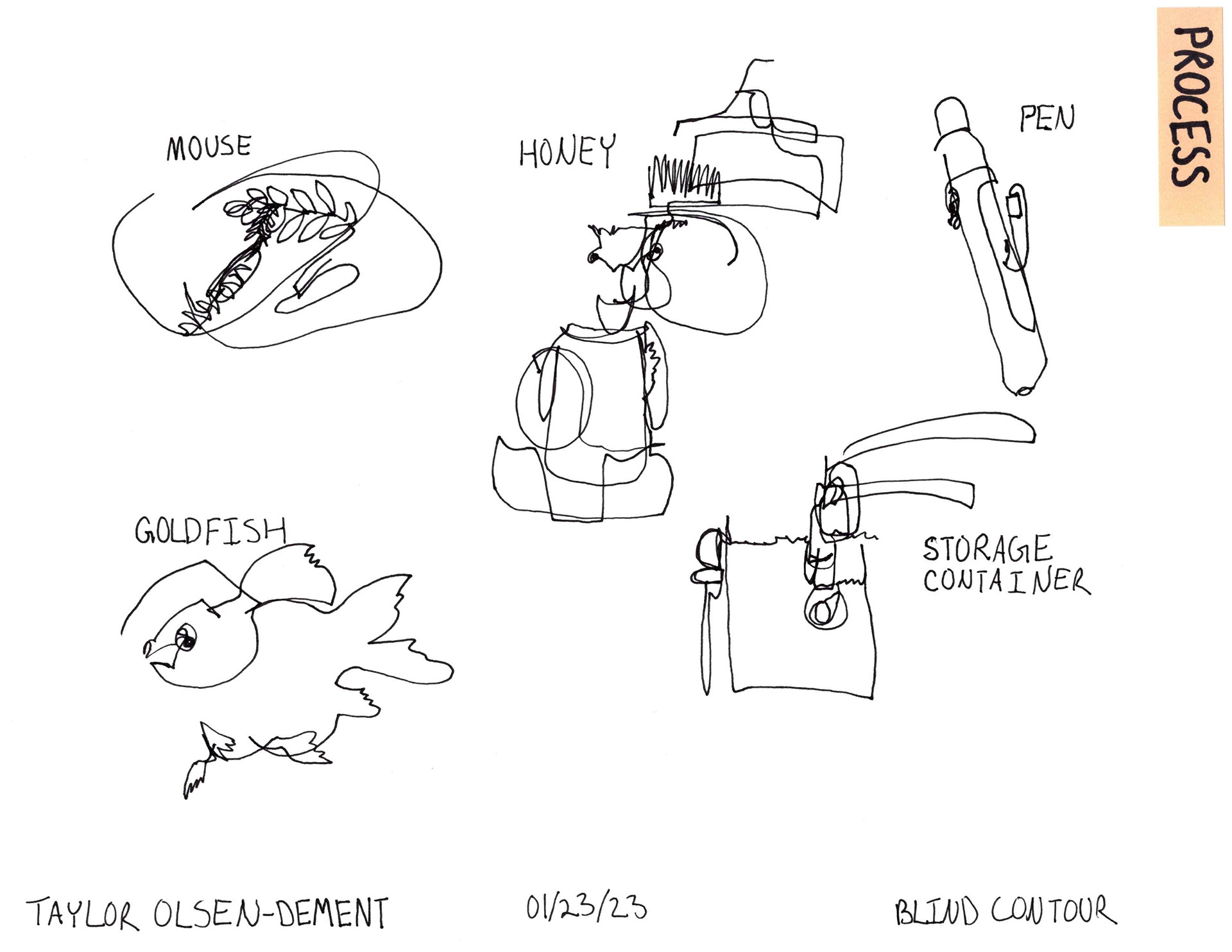 One Line Blind Contour Illustrations