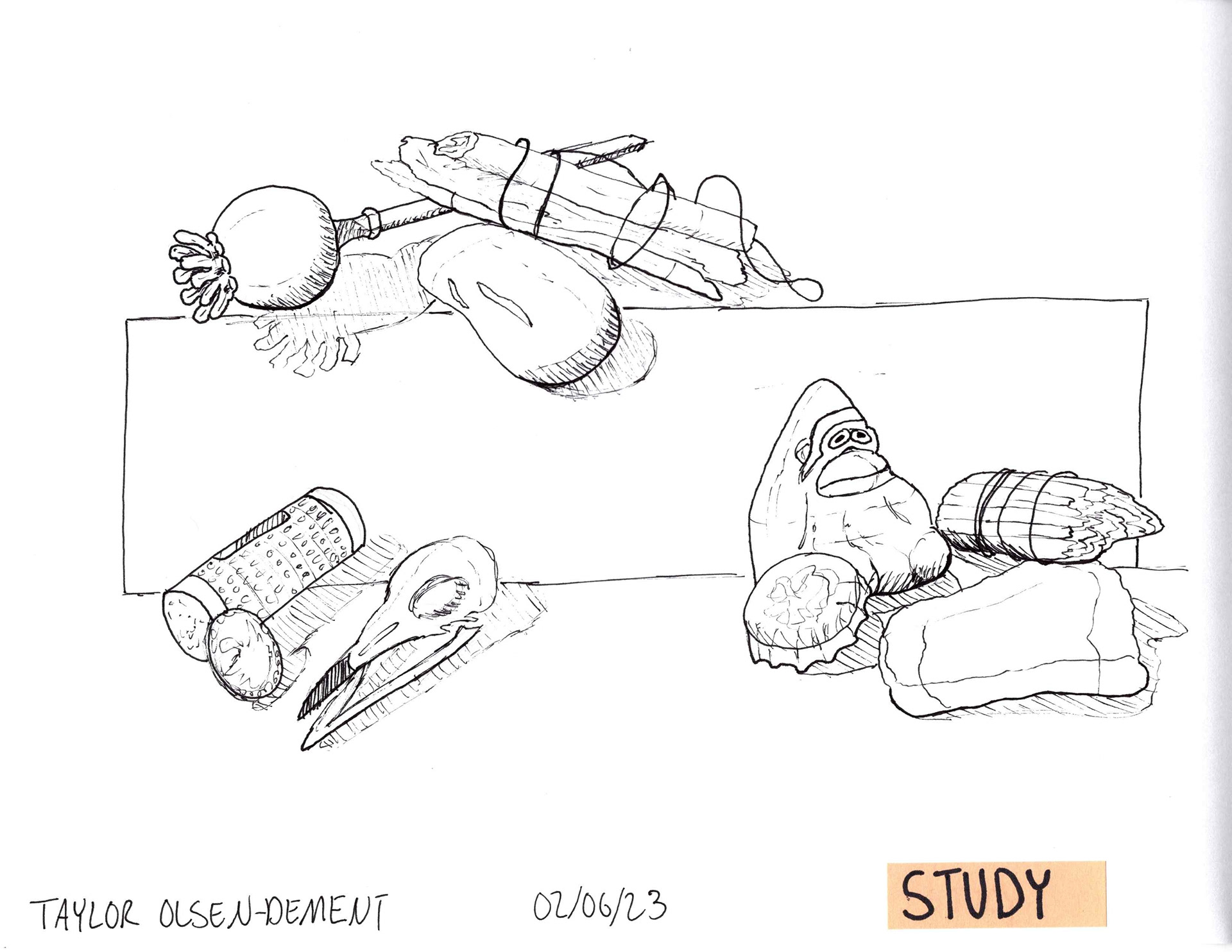 Ink Study Illustrations