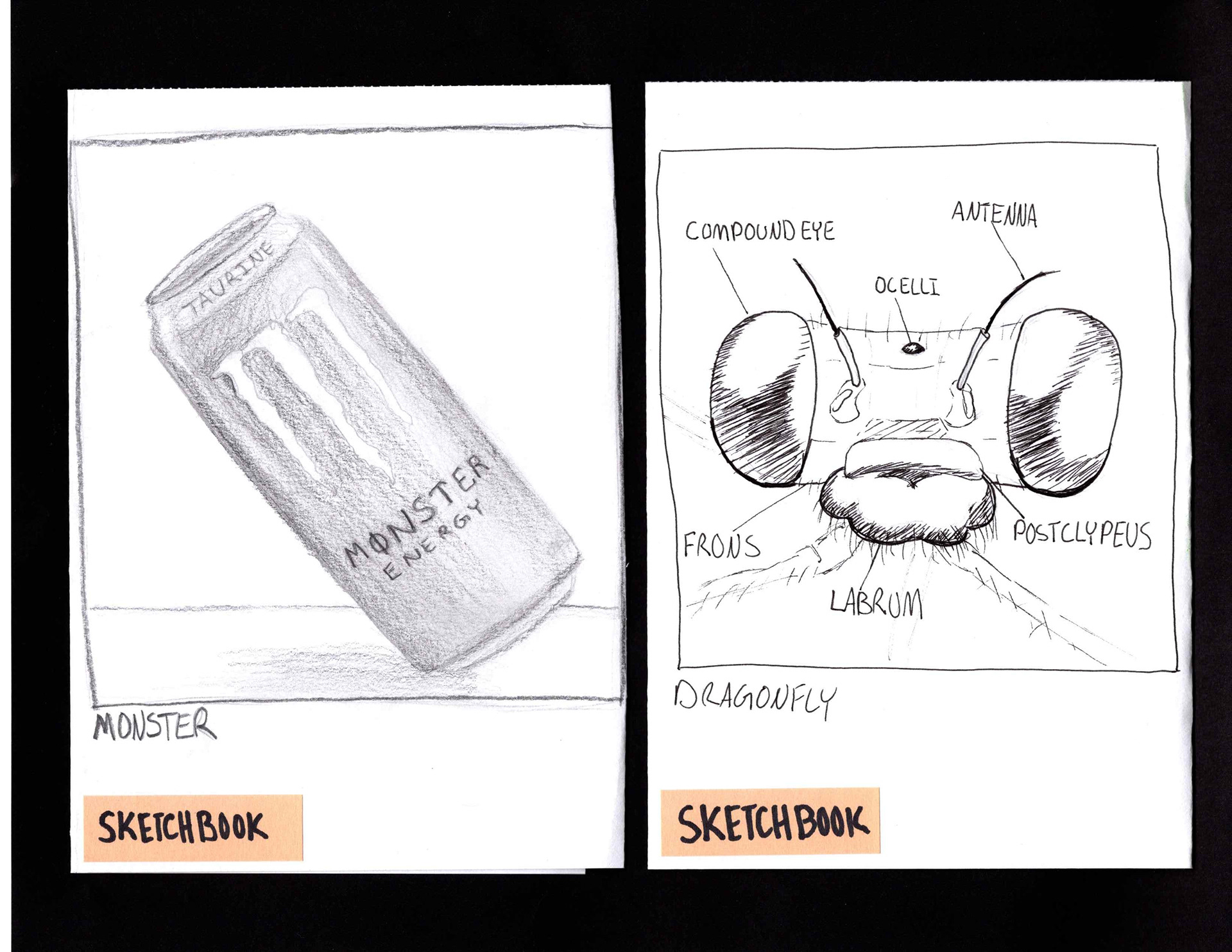 Ink and Graphite Sketchbook Illustrations