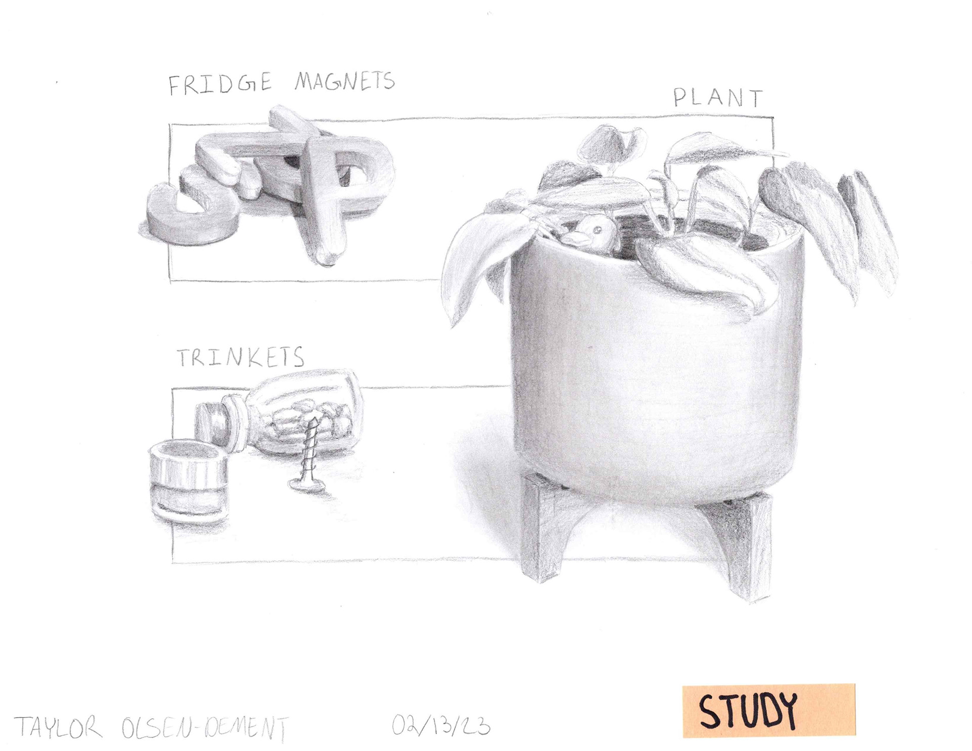 Graphite Study Illustrations