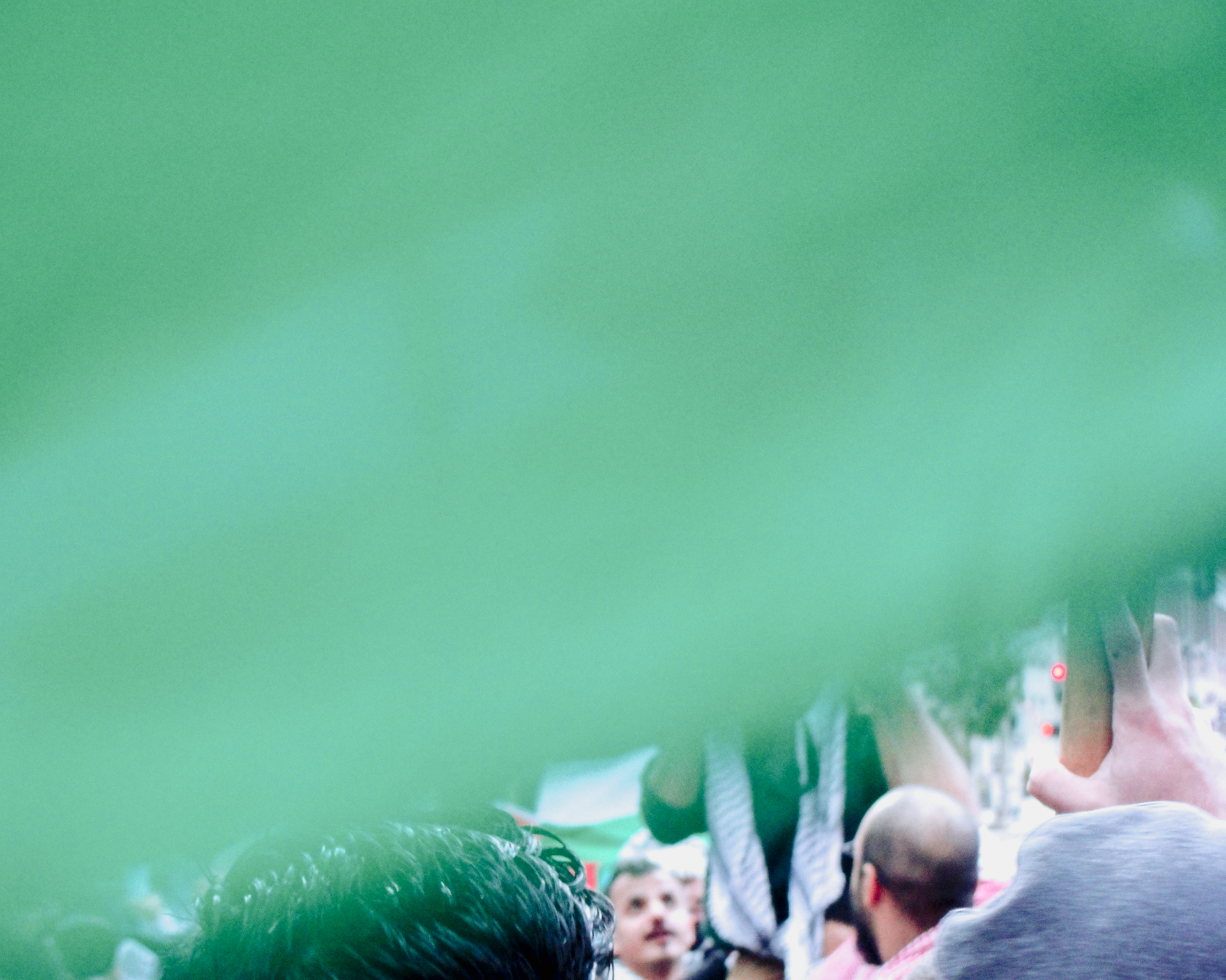 St. Louis Protest for Palestine, 2023