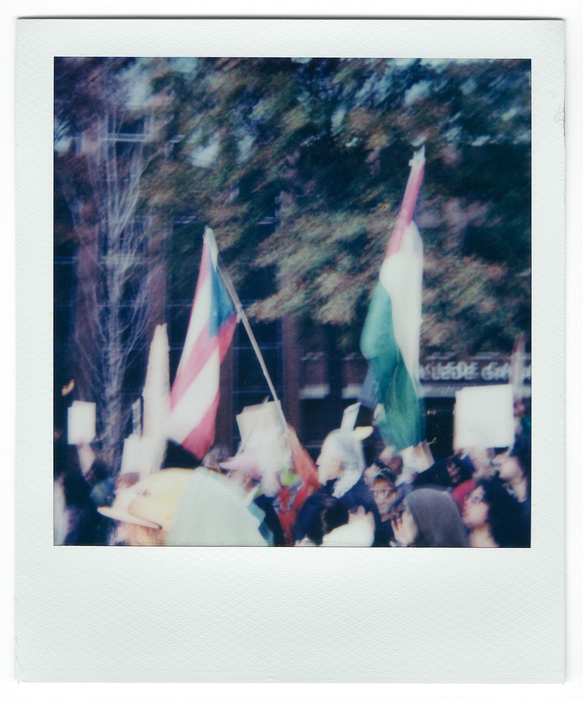 a Free Palestine Protest, 2023