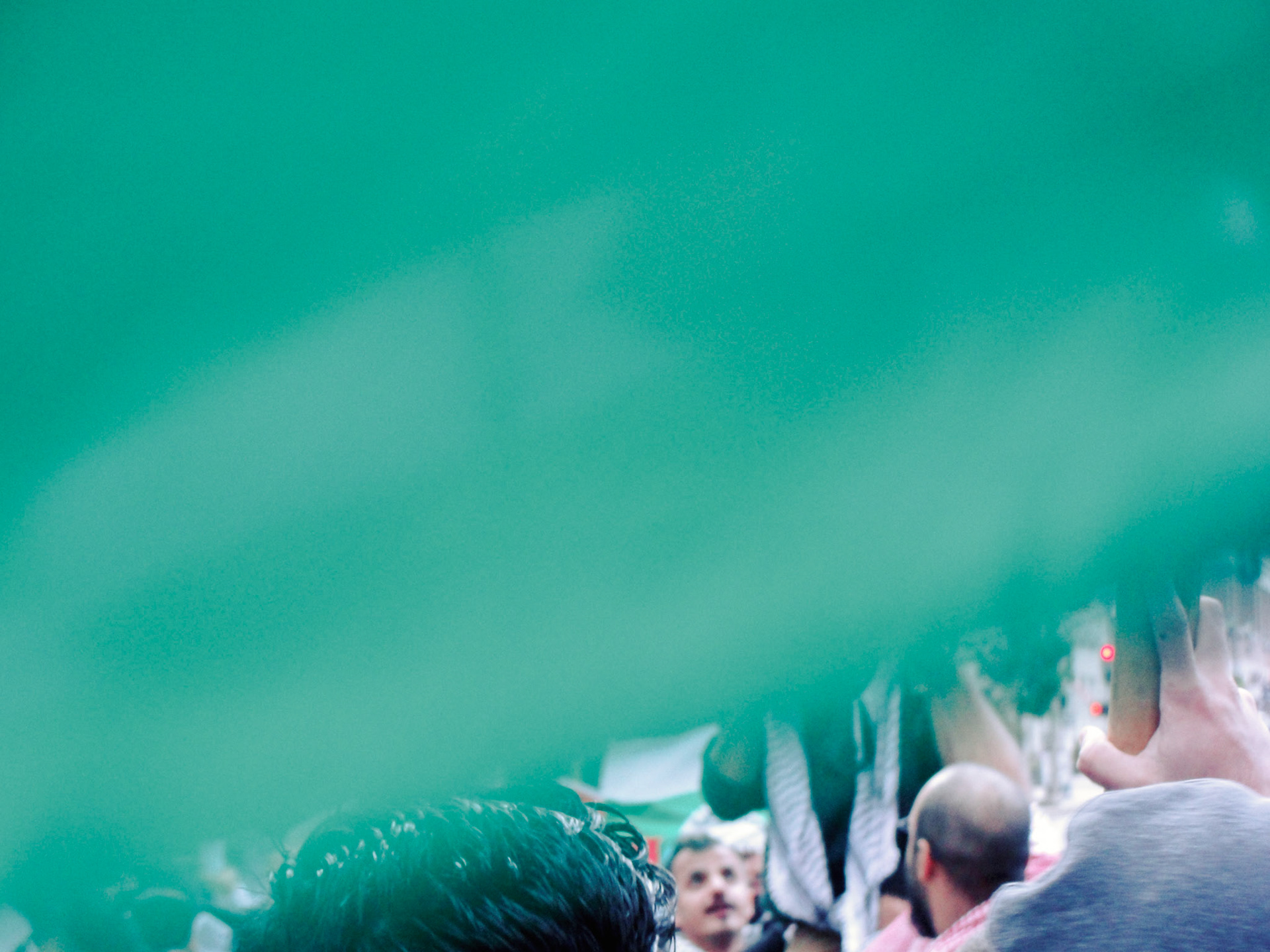 St. Louis Protest for Palestine, 2022