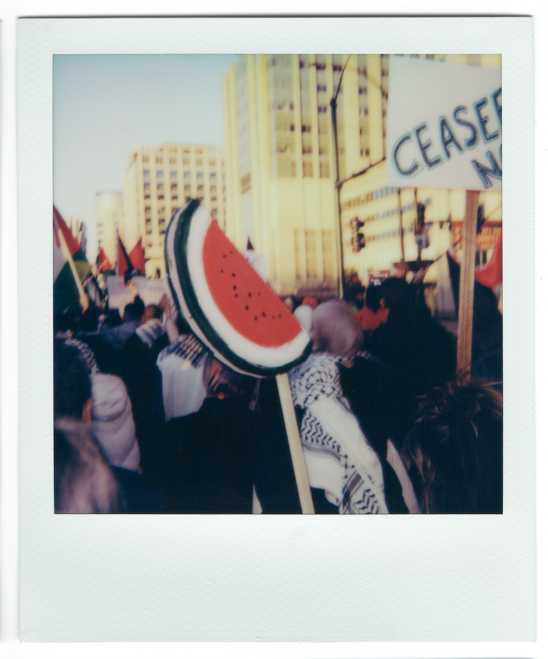 a Free Palestine Protest, 2023