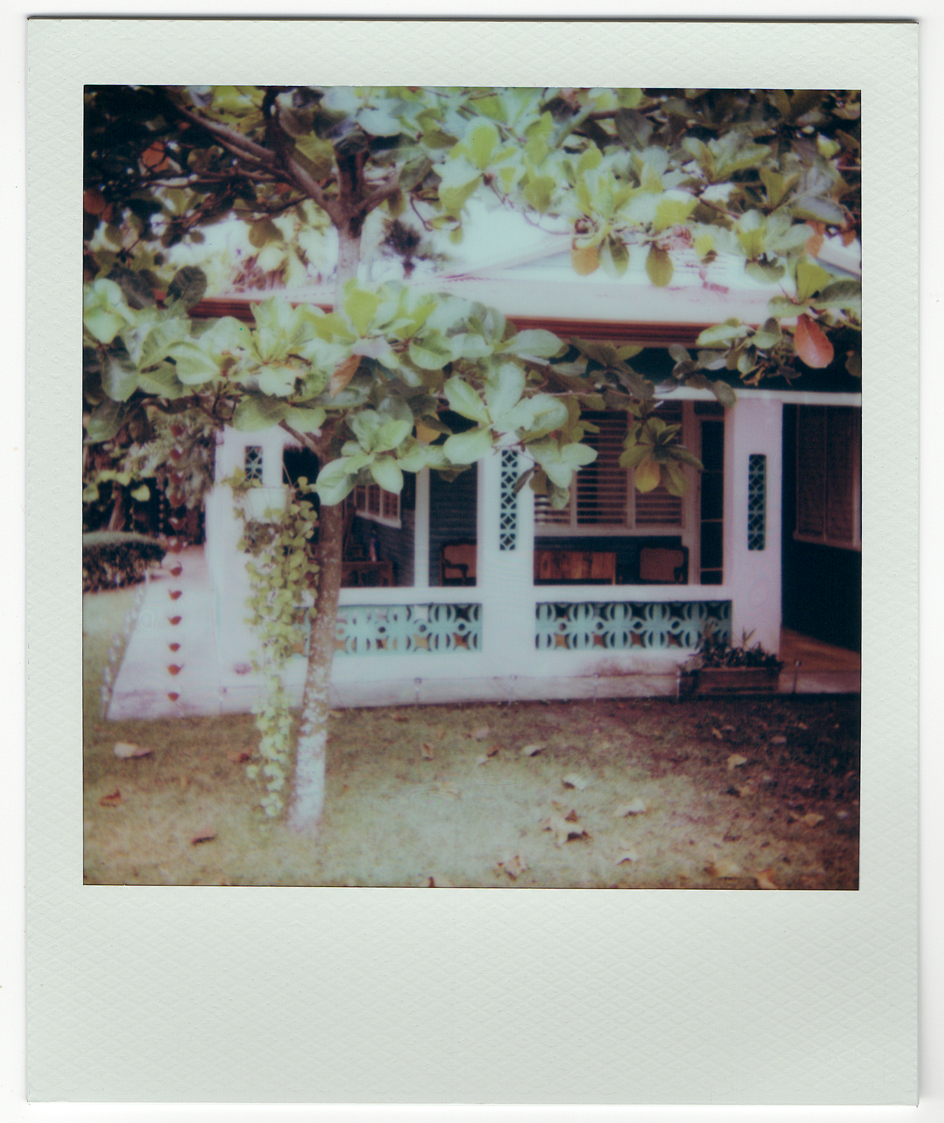 Abuelita's home, 2025