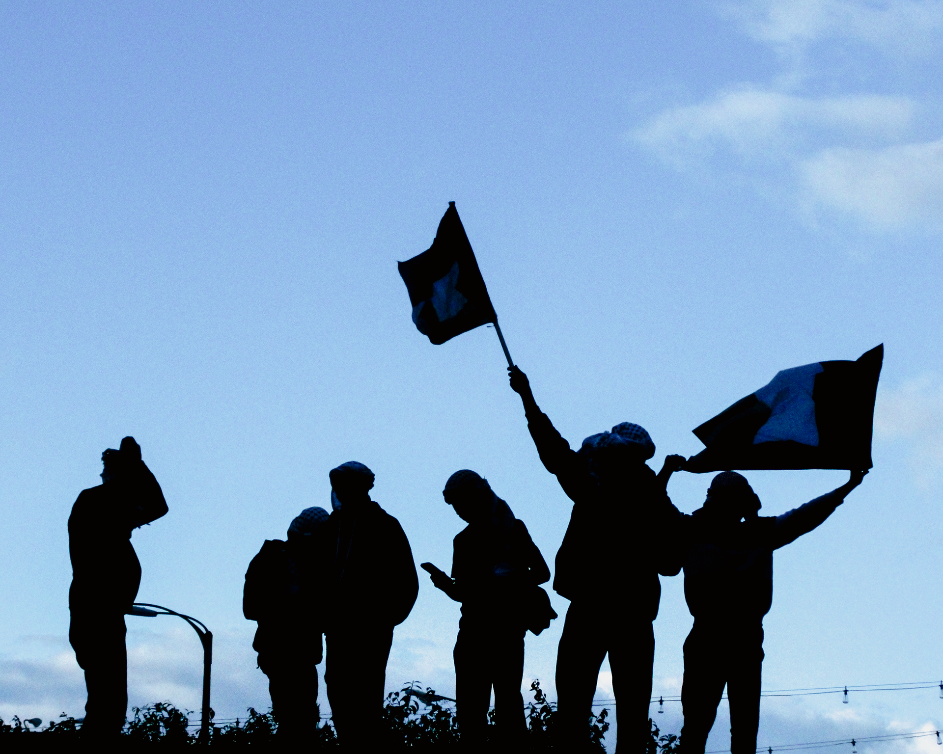St. Louis Protest for Palestine, 2023