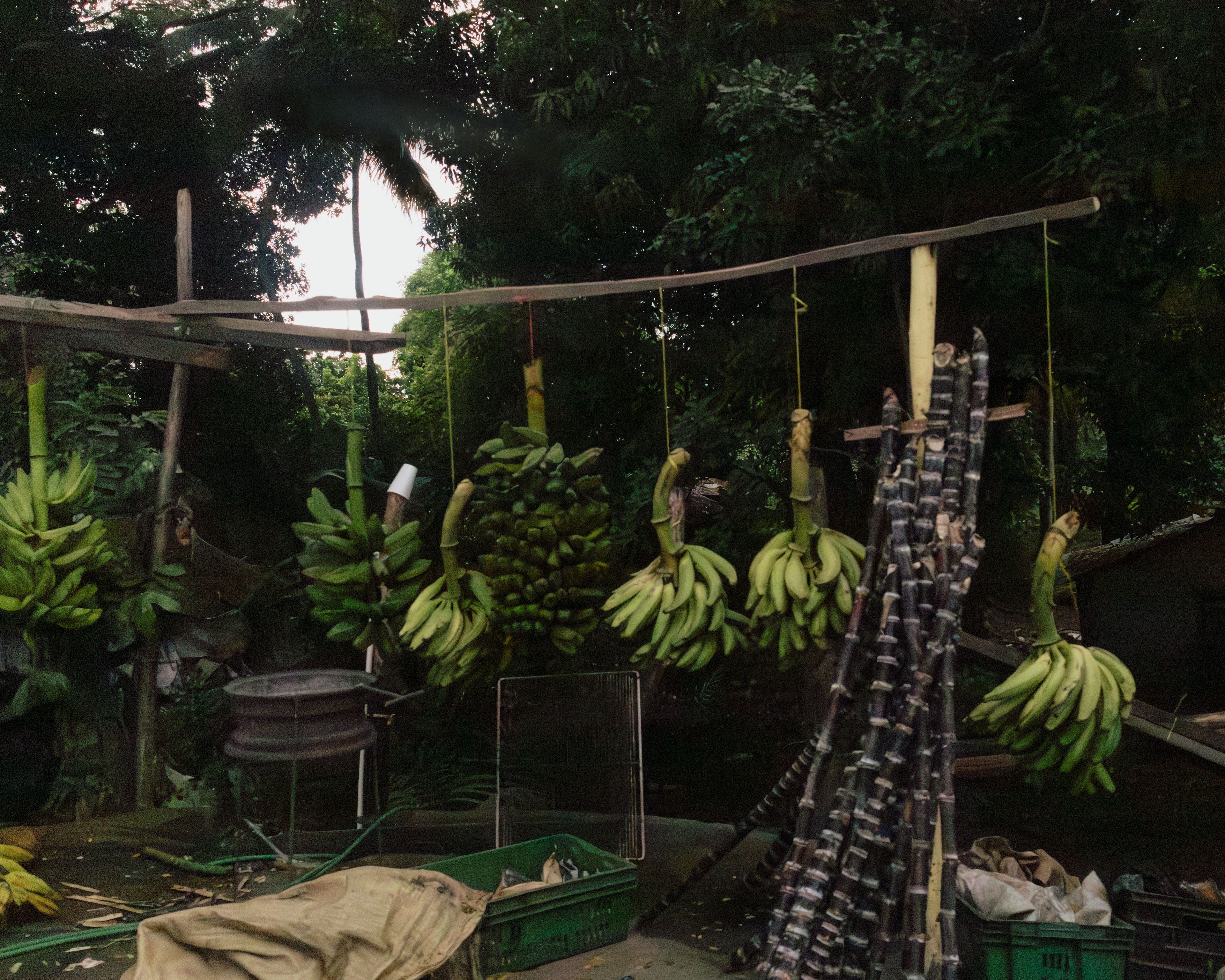 República Dominicana, 2025