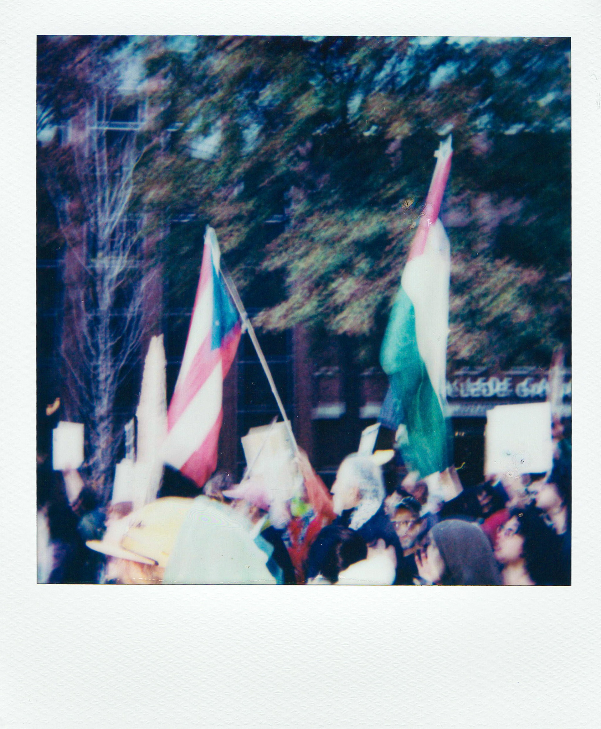 Puerto Rico x Palestine