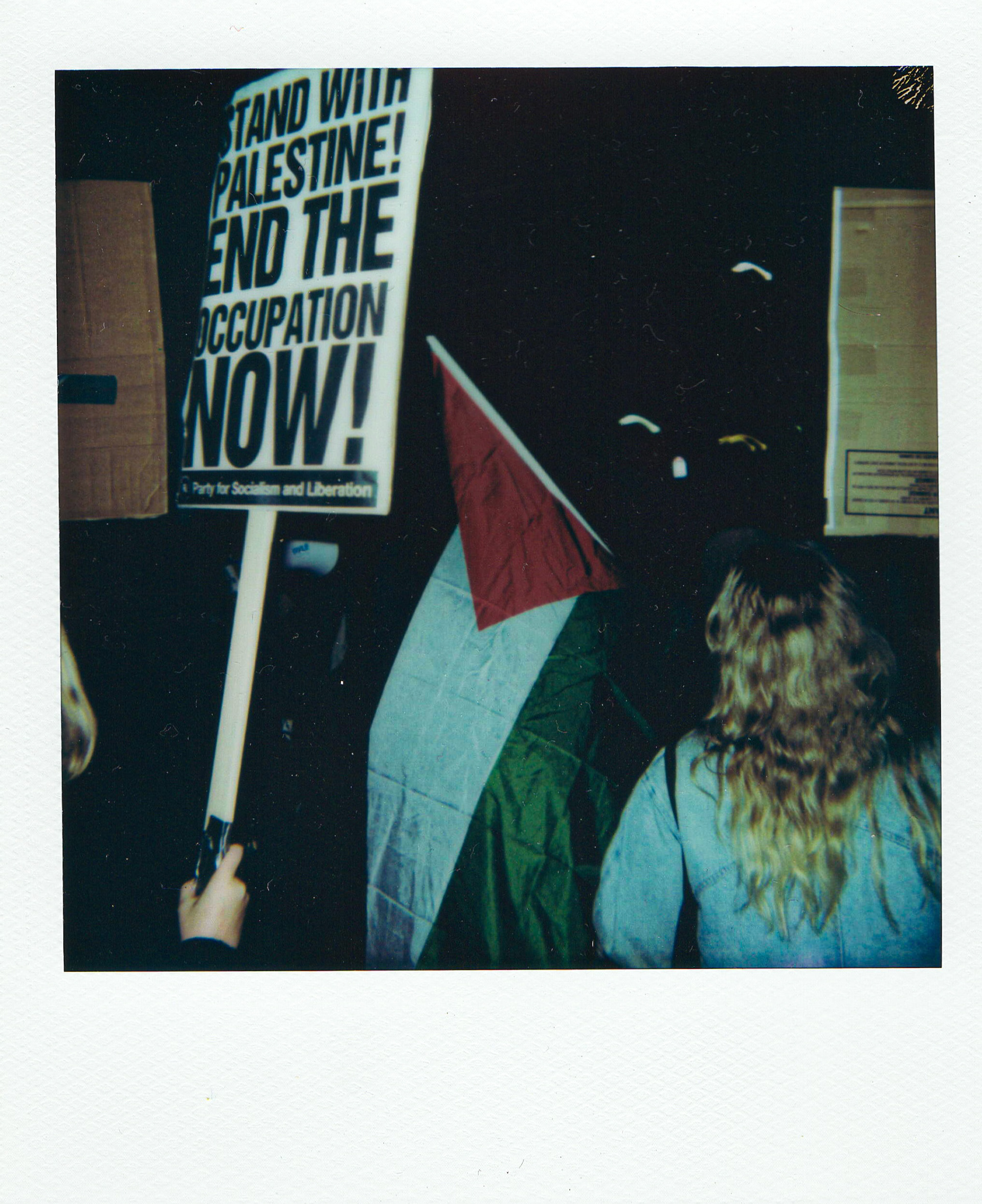 Palestine Protest