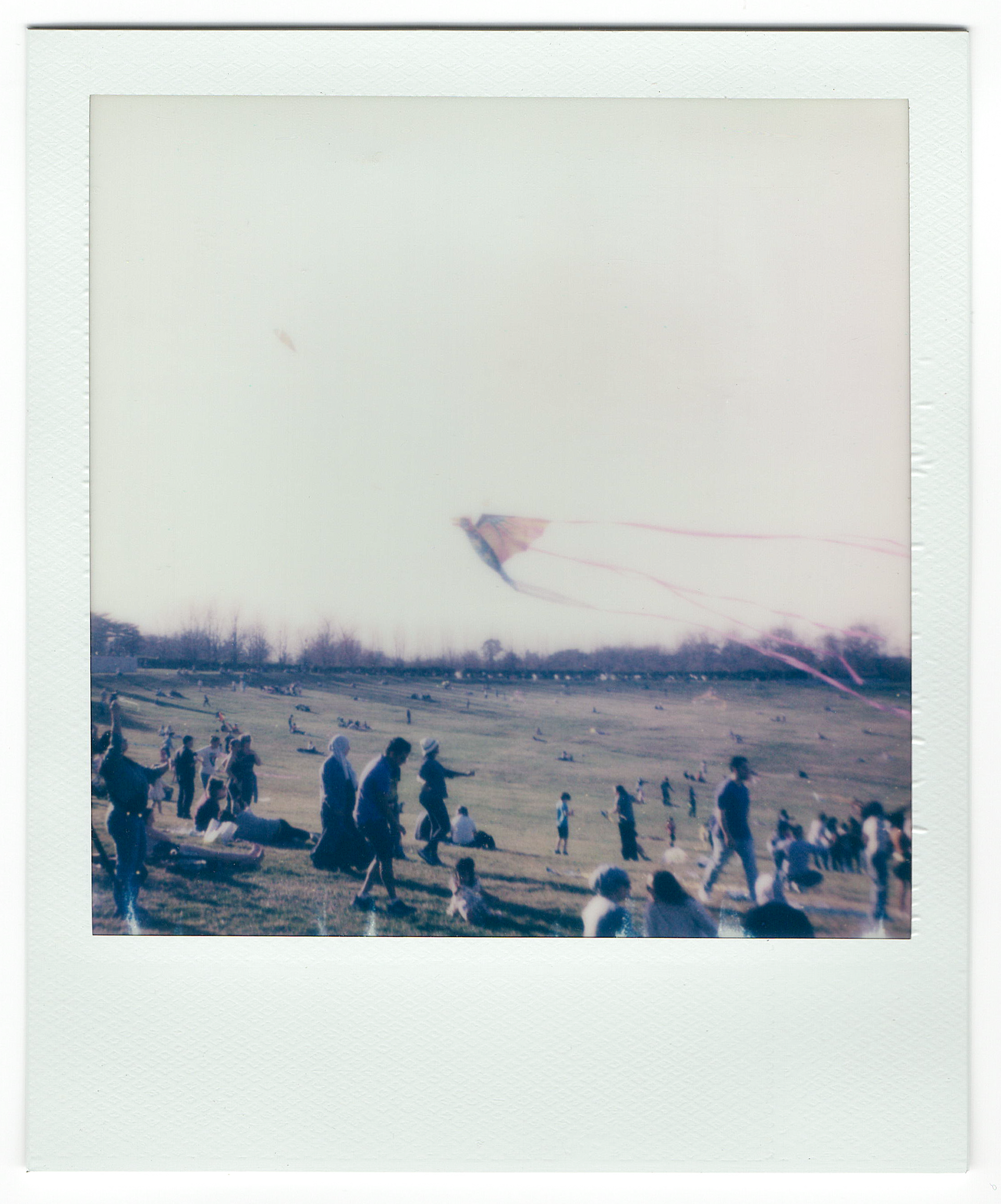 Kites for Palestine, 2024